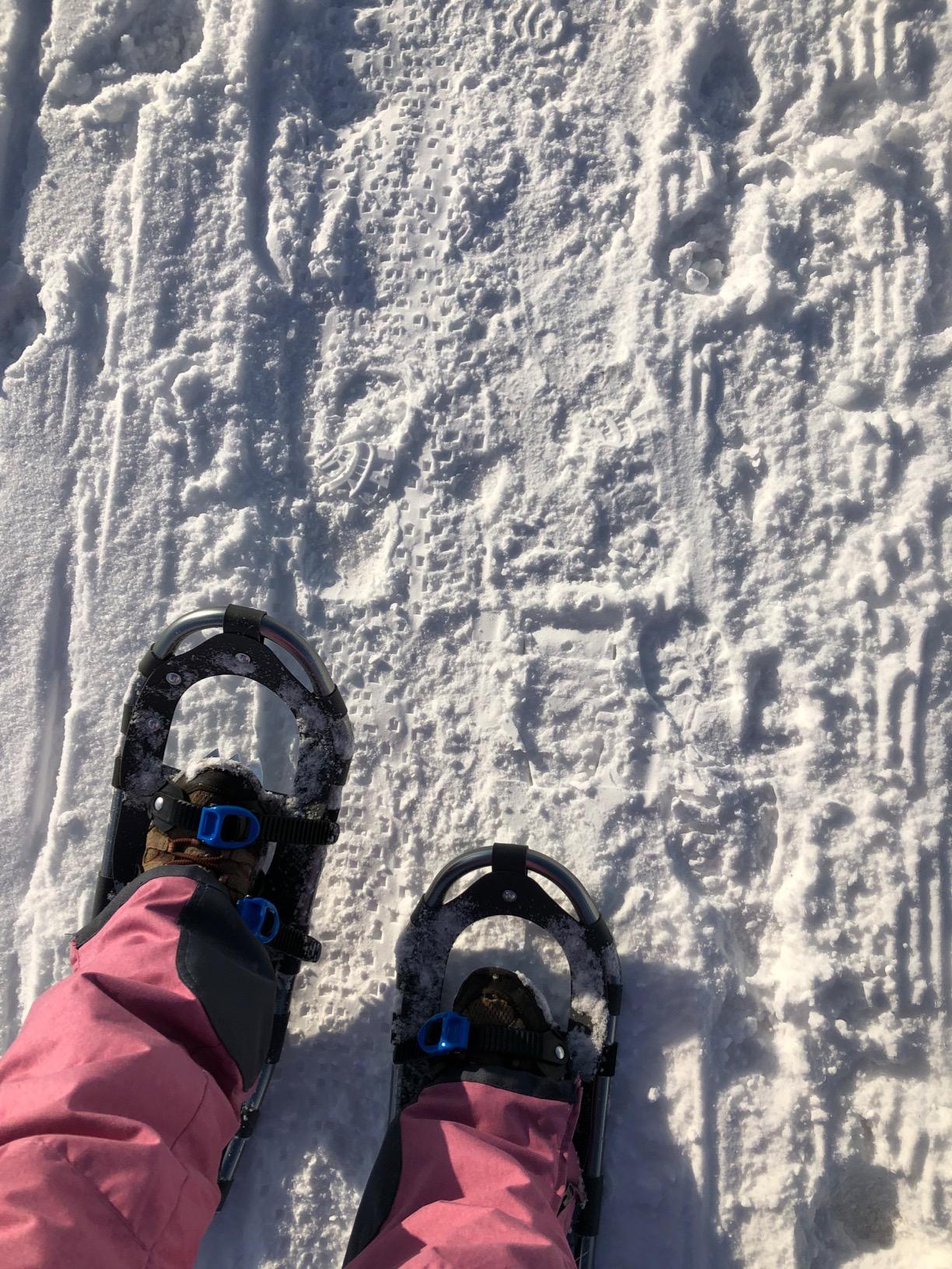 Franklin Sports Arctic Trails Snowshoes for Men + Women - Lightweight Aluminum Snowshoes for Adults customer photo 1