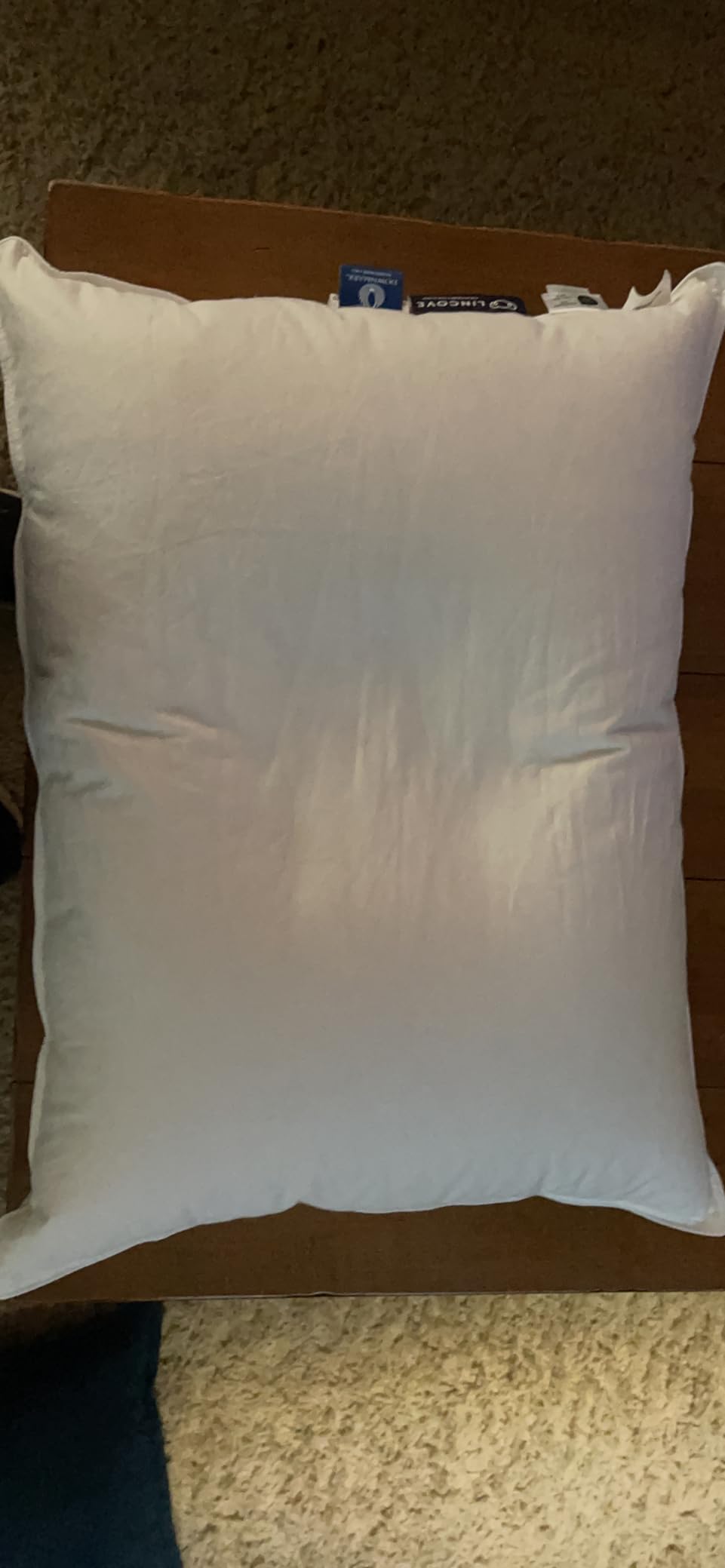 Lincove Cloud Natural Canadian Down and Waterfowl Feather Pillow, White Luxury Sleeping Pillow - 625 Fill Power, 500 Thread Count Cotton Shell, Made in Canada, Standard - Soft, 1 Pack customer photo 1