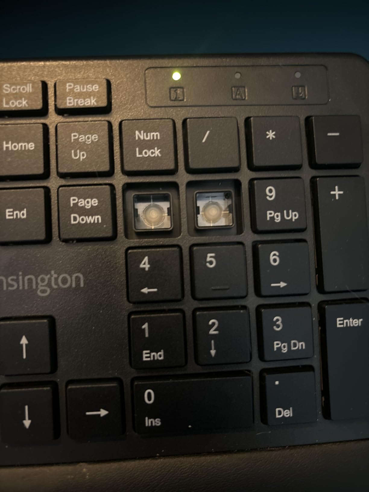 Kensington Pro Fit Ergonomic Wired Keyboard- Black (K75400US) customer photo 2
