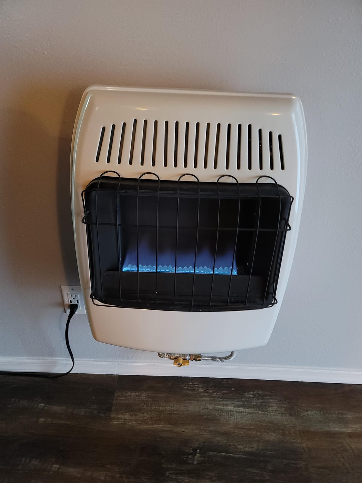 Dyna-Glo 20,000 BTU Natural Gas Blue Flame Vent Free Wall Heater customer photo 1