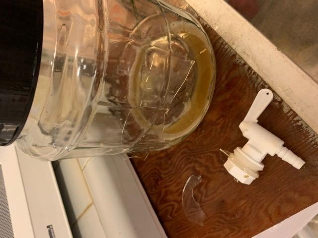 Northern Brewer - Siphonless 1 Gallon Craft Beer Making Starter Kit, Equipment and Beer Recipe Kit (Kama Citra IPA) customer photo 1