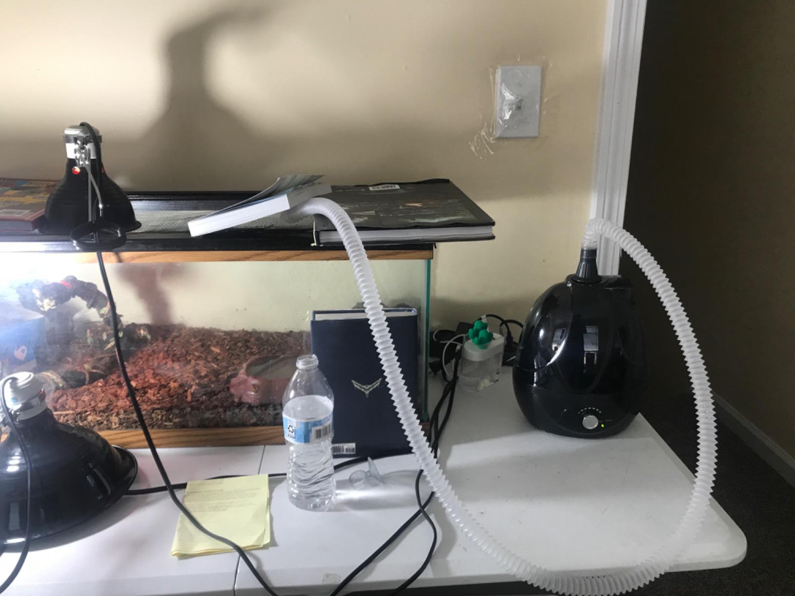 BETAZOOER Reptile Humidifier Mister Fogger Extension Amphibians Snake 2.5L customer photo 1
