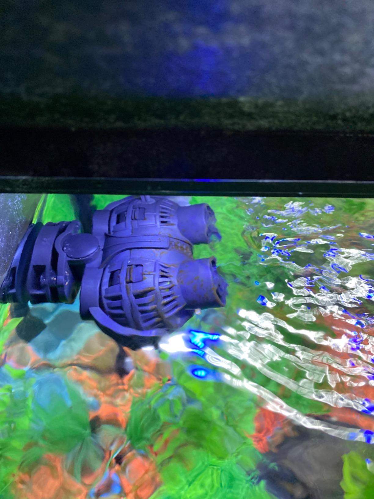 FREESEA Magnetic Wave Maker for Aquarium: 1s Mounts on 15mm Glass Secure | 8W 1600GPH 180°Adjustable Dual Heads Eliminate Dead Spots Improve Water Quality for 55-125 Gallon Fish Tank customer photo 1
