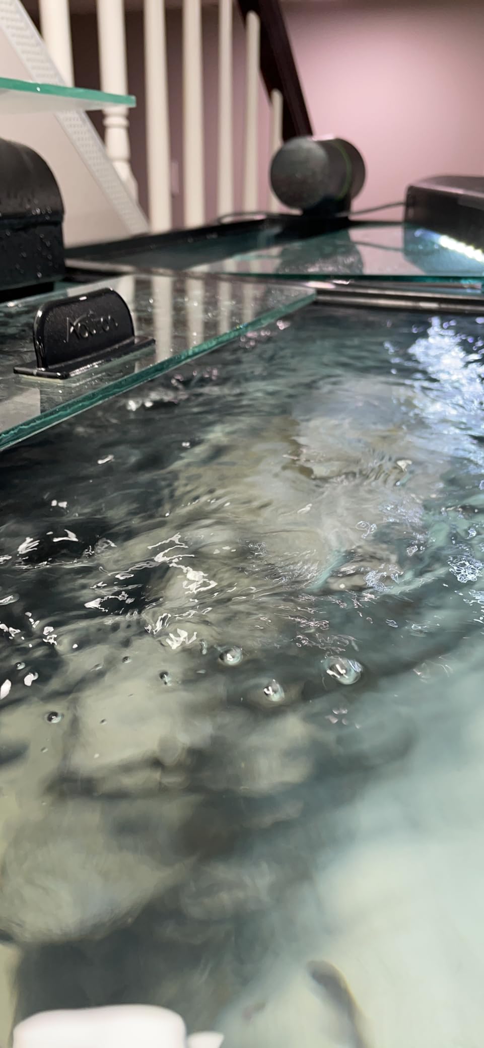 FREESEA Magnetic Wave Maker for Aquarium: 1s Mounts on 15mm Glass Secure | 8W 1600GPH 180°Adjustable Dual Heads Eliminate Dead Spots Improve Water Quality for 55-125 Gallon Fish Tank customer photo 2