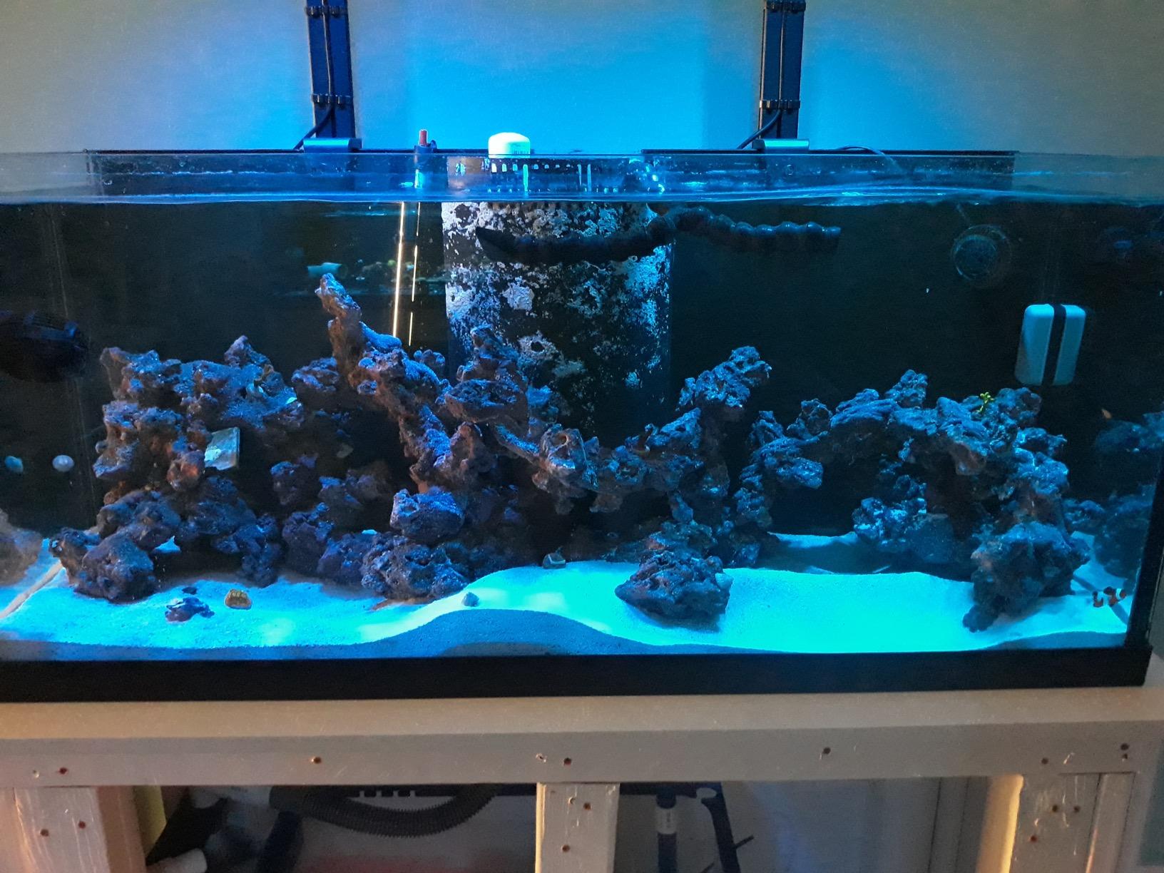 AquaIllumination Hydra 32 LED Aquarium Light - Full Spectrum Lighting for Coral Growth, Wireless Control, High PAR Output, Energy Efficient - for Saltwater Reef Tank Aquariums - Black customer photo 2