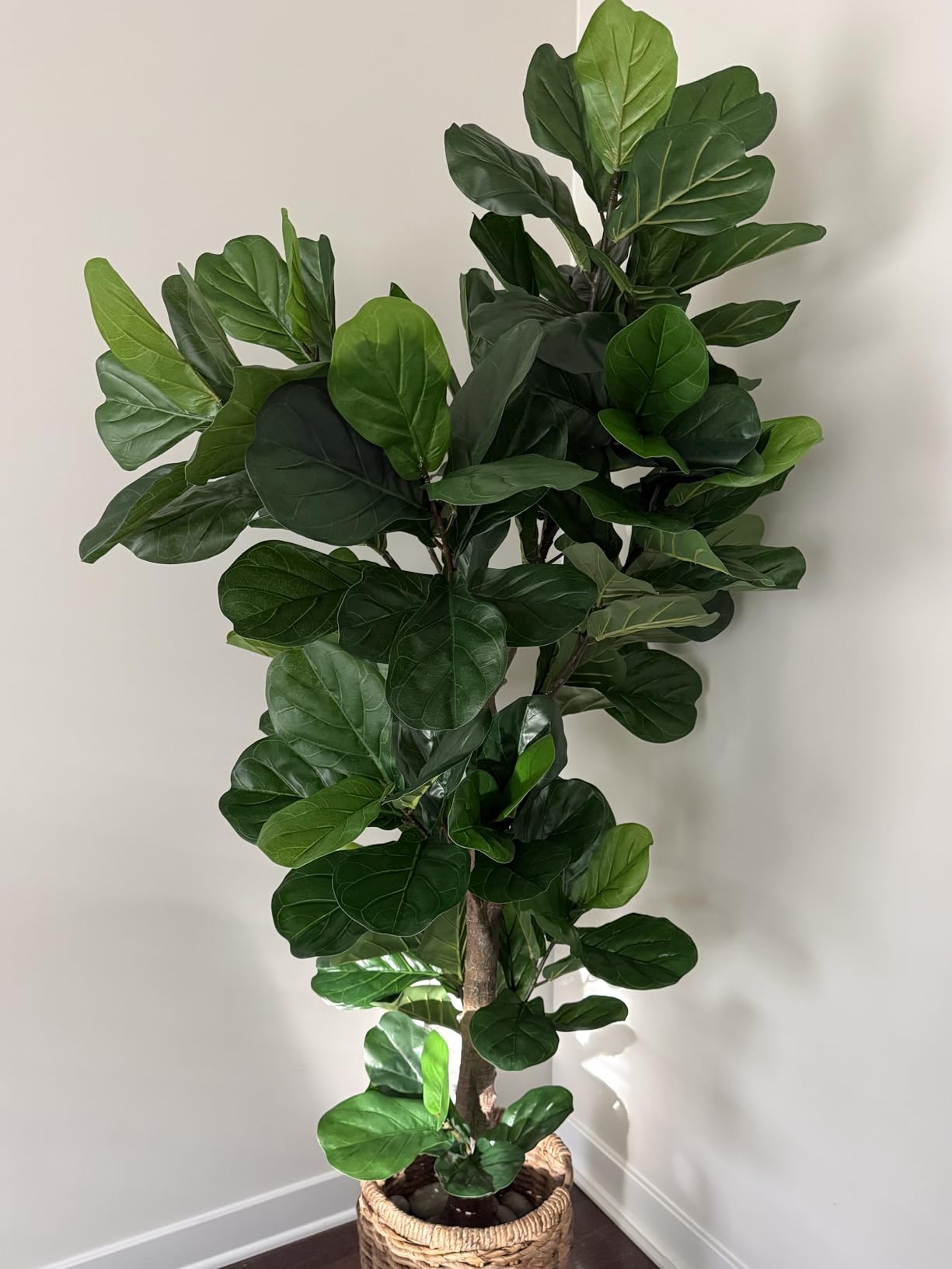 Aveyas 54'' Tall Large Artificial Monstera Deliciosa Plants, 4.5 Feet Faux Swiss Cheese Floor Plants Fake Tropical Silk Tree with Pot for Indoor Outdoor Office House Living Room Home Decor customer photo 1