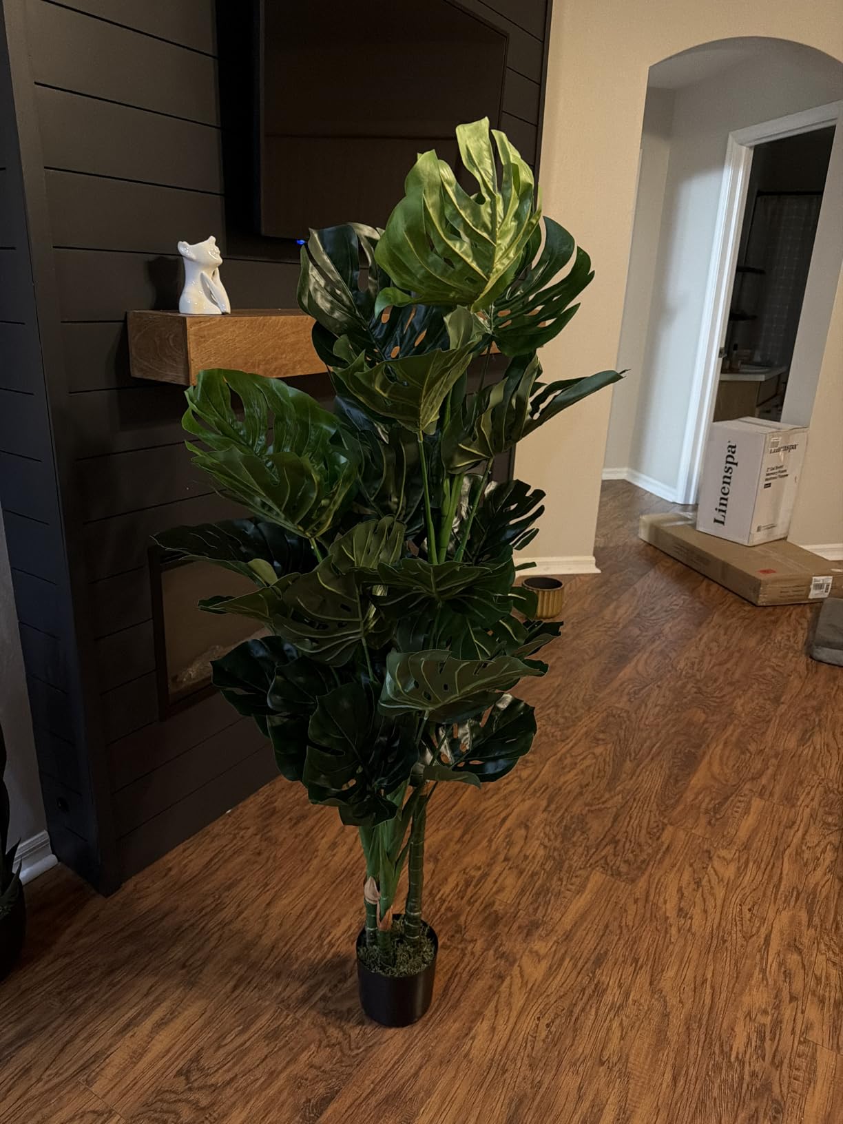 Aveyas 54'' Tall Large Artificial Monstera Deliciosa Plants, 4.5 Feet Faux Swiss Cheese Floor Plants Fake Tropical Silk Tree with Pot for Indoor Outdoor Office House Living Room Home Decor customer photo 2
