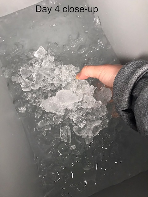 Igloo BMX Cooler | Insulated Hard Shell Ice Chest customer photo 1