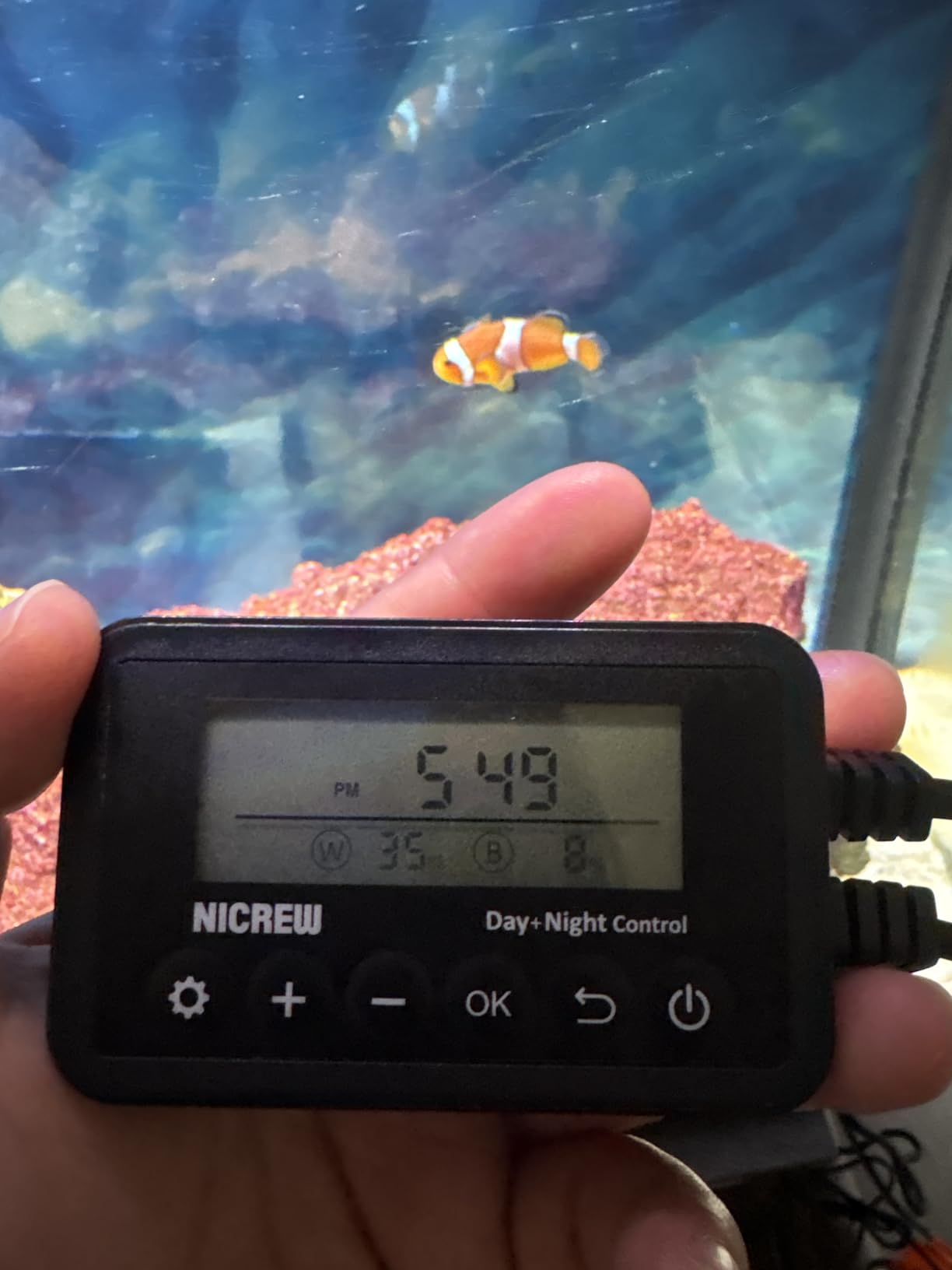 NICREW 32W Saltwater Aquarium Light, Marine LED Reef Light for Corals, Programmable Timer Controller, 30 to 36-Inch customer photo 2