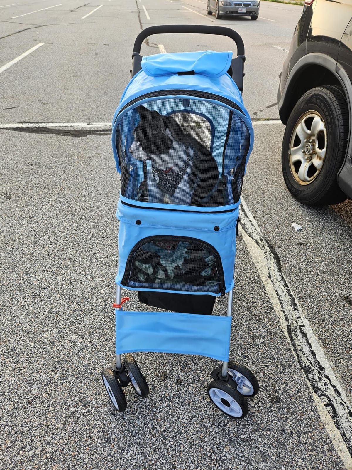ZENY Foldable Pet Stroller, Cat/Dog Stroller with 4 Wheels | Pet Travel Carrier Strolling Cart with Storage Basket, Cup Holder, Black customer photo 2
