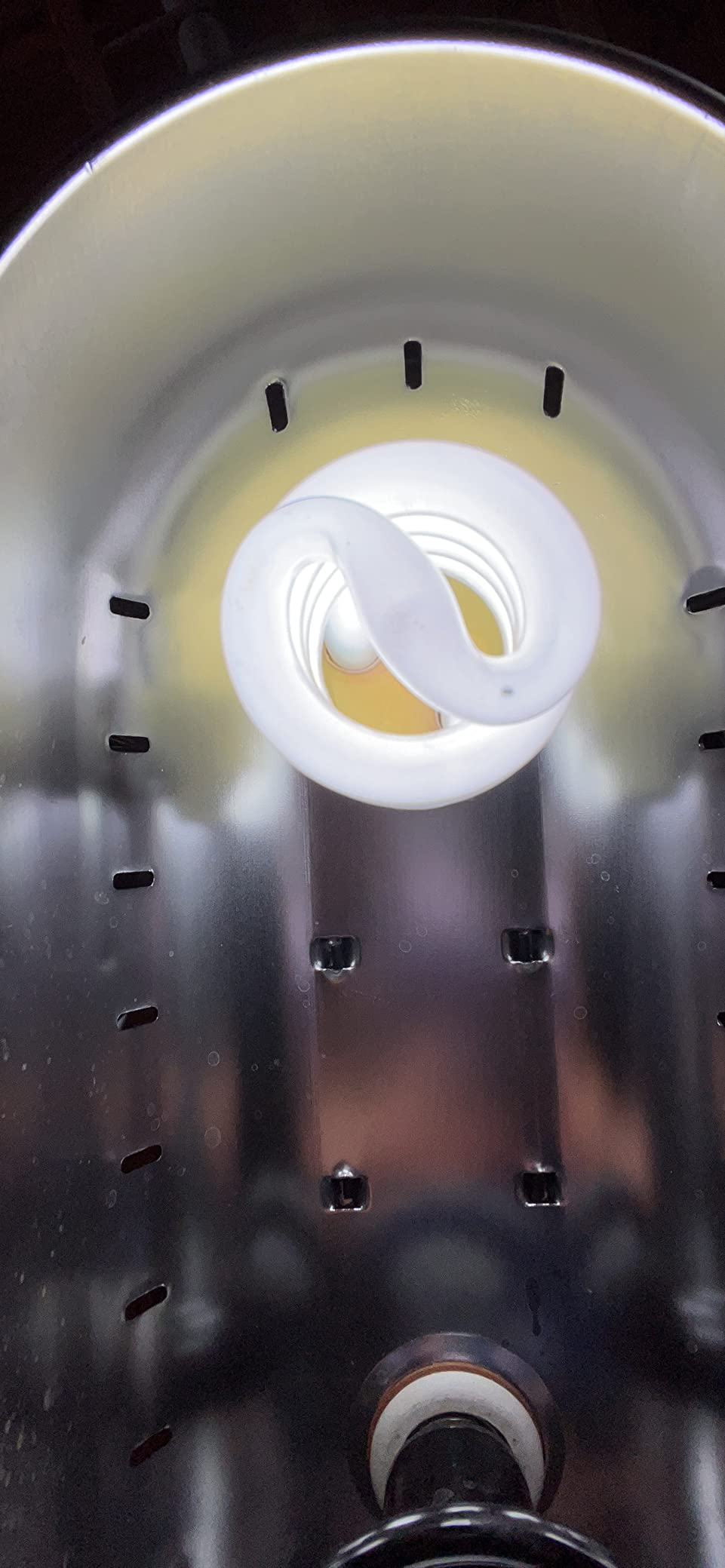 LUCKY HERP UVA UVB Reptile Light 10.0, Desert UVB 150 Compact Fluorescent Lamp, UVB Light for Reptiles 23W, UVA UVB Reptile Light Bulb, UVB Bulb for Reptiles Bearded Dragons Lizards Tortoises Snakes customer photo 1