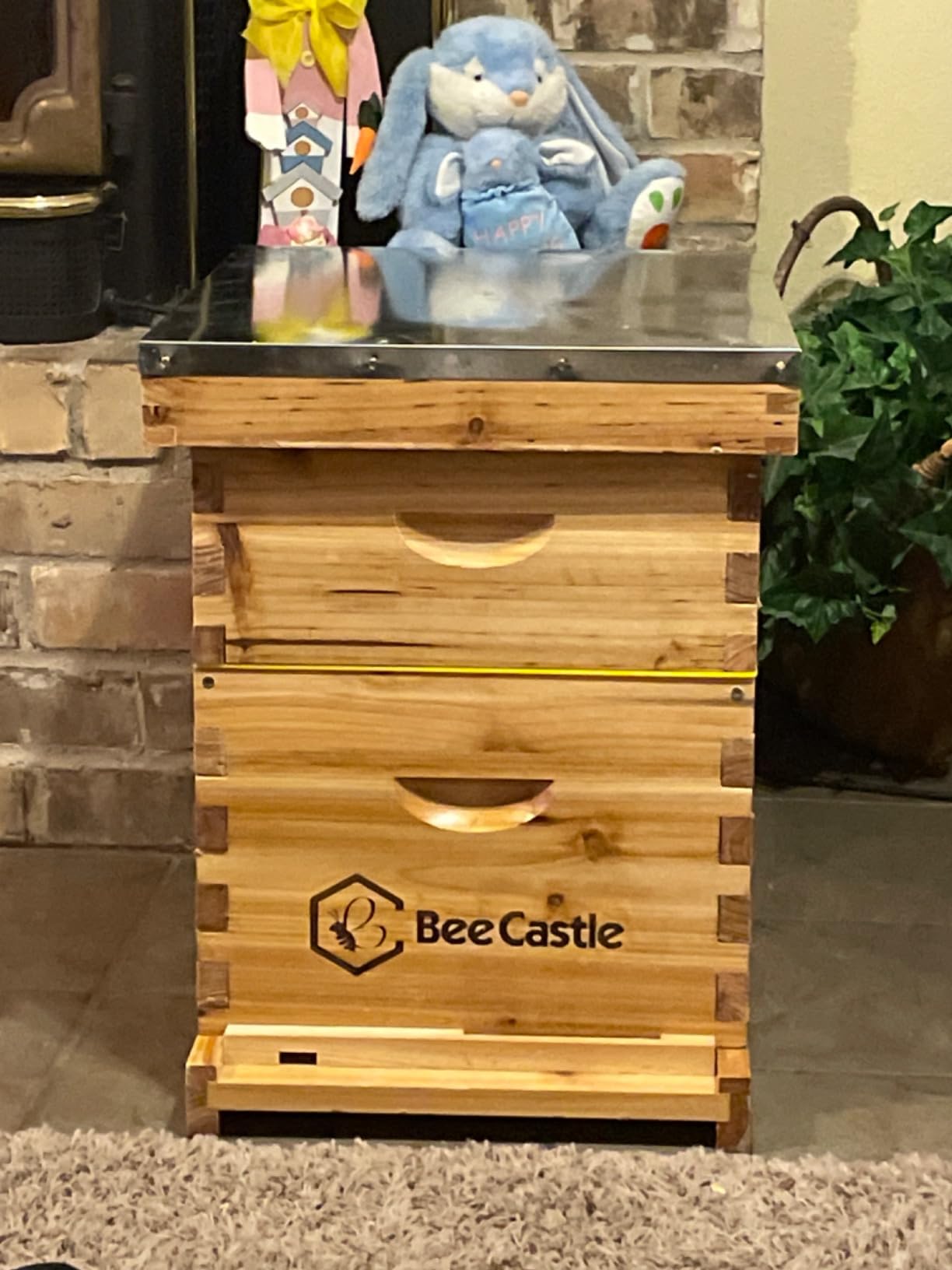 BeeCastle 8 Frame Langstroth Bee Hive Coated with Beeswax Includes Beehive Frames and Waxed Foundations (1 Deep Box & 1 Medium Box) customer photo 2