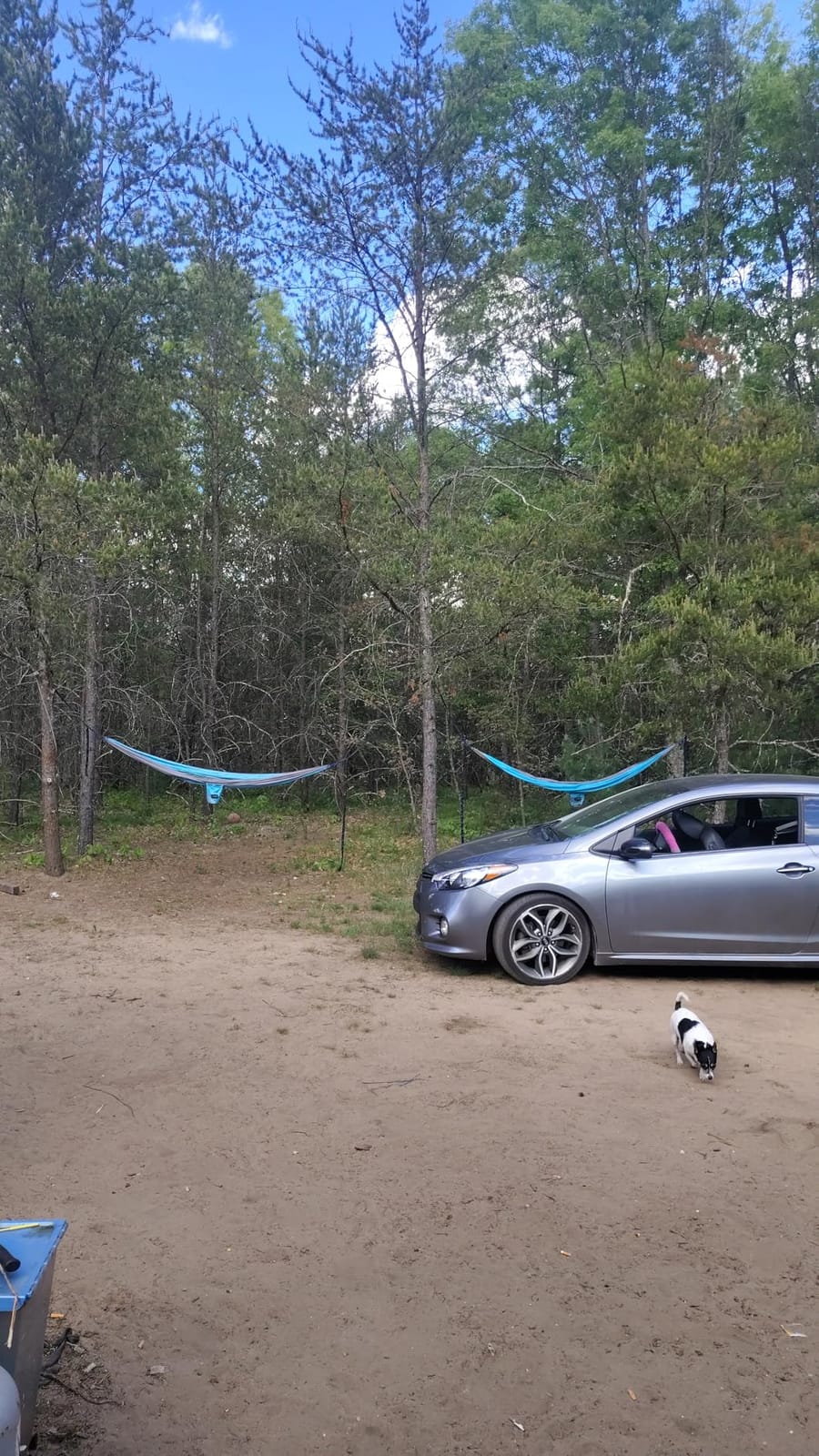Kootek Camping Hammock 400lbs Capacity Outdoor Camping Essentials, Single | Outside&Indoors, Tree-Safe Straps, Included Carry Bag, 211T Parachute Nylon, Heavy-Duty Carabiners, Lightweight & Quick Setup customer photo 2