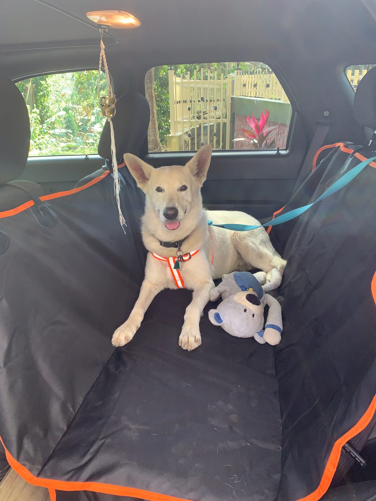 Active Pets XL Waterproof Hammock Large Car Seat Cover, Fits SUVs Trucks Big Sedans, Secure Convertible Travel Bed Protects Backseat Cargo from Dog Puppy Pet Water Food Drool Urine, Black customer photo 1