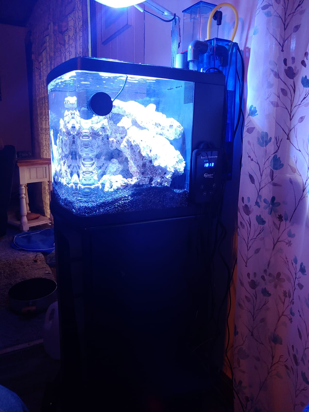 hygger Mini Wave Maker Aquarium Magnetic DC Powerhead with LED Display Controller for Saltwater Tank, 1600 GPH Aquarium Water Circulation Pump 5 to 30 Gallon customer photo 2