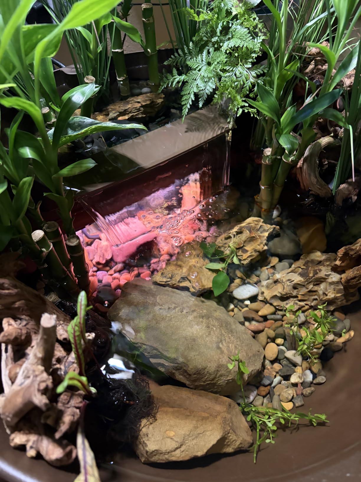 Aquascape AquaGarden Container Water Feature Kit - Indoor & Outdoor Mini Pond with Waterfall Fountain, Pump & Filtration for Home & Patio, Brown customer photo 2