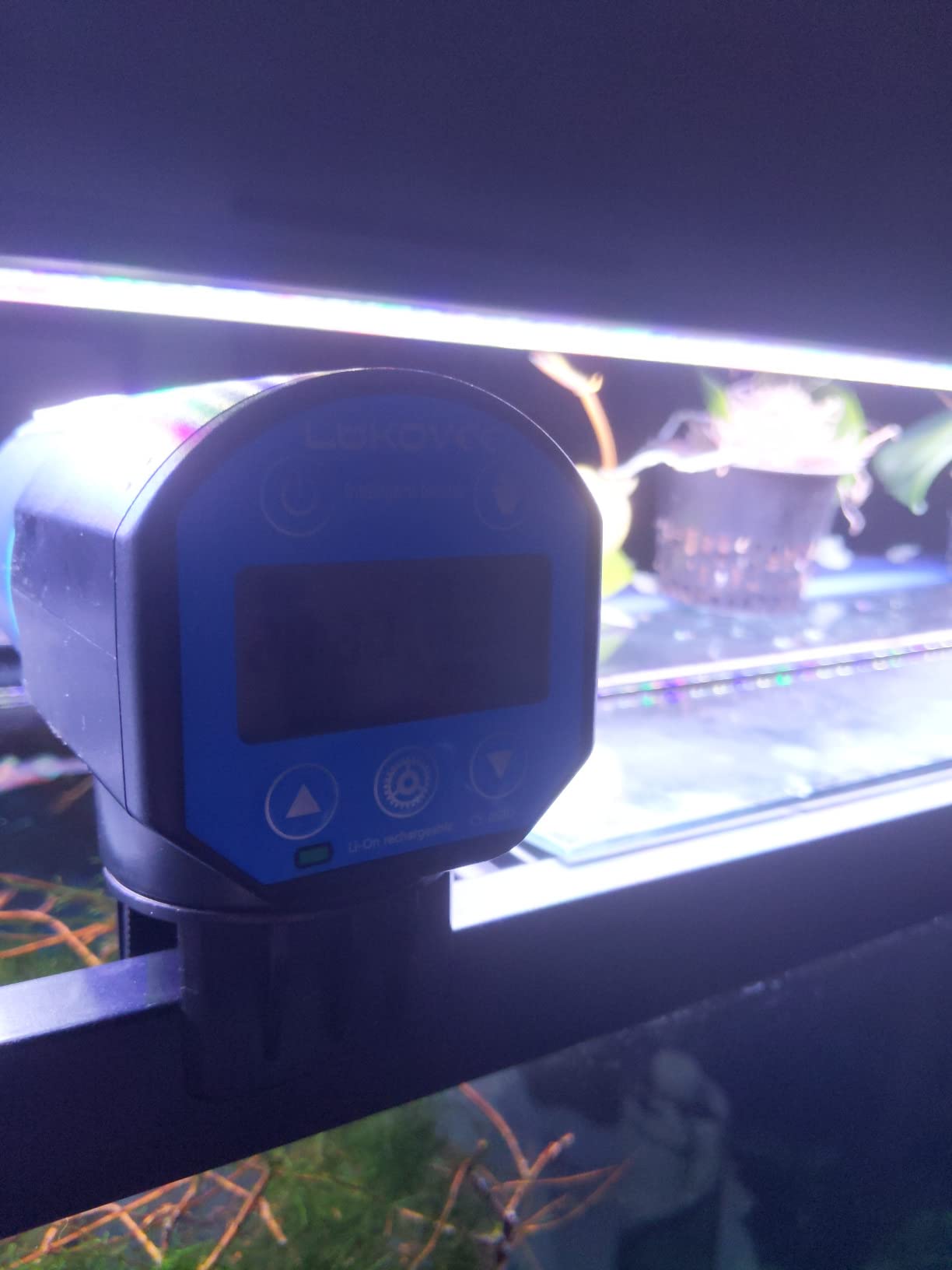 Lukovee Automatic Fish Feeder, USB Rechargeable Timer, 200ML Large Capacity | Feeding Time Display, Moisture-Proof, Aquarium Fish Tank Food Dispenser for Vacation Weekend Holiday, Blue customer photo 1