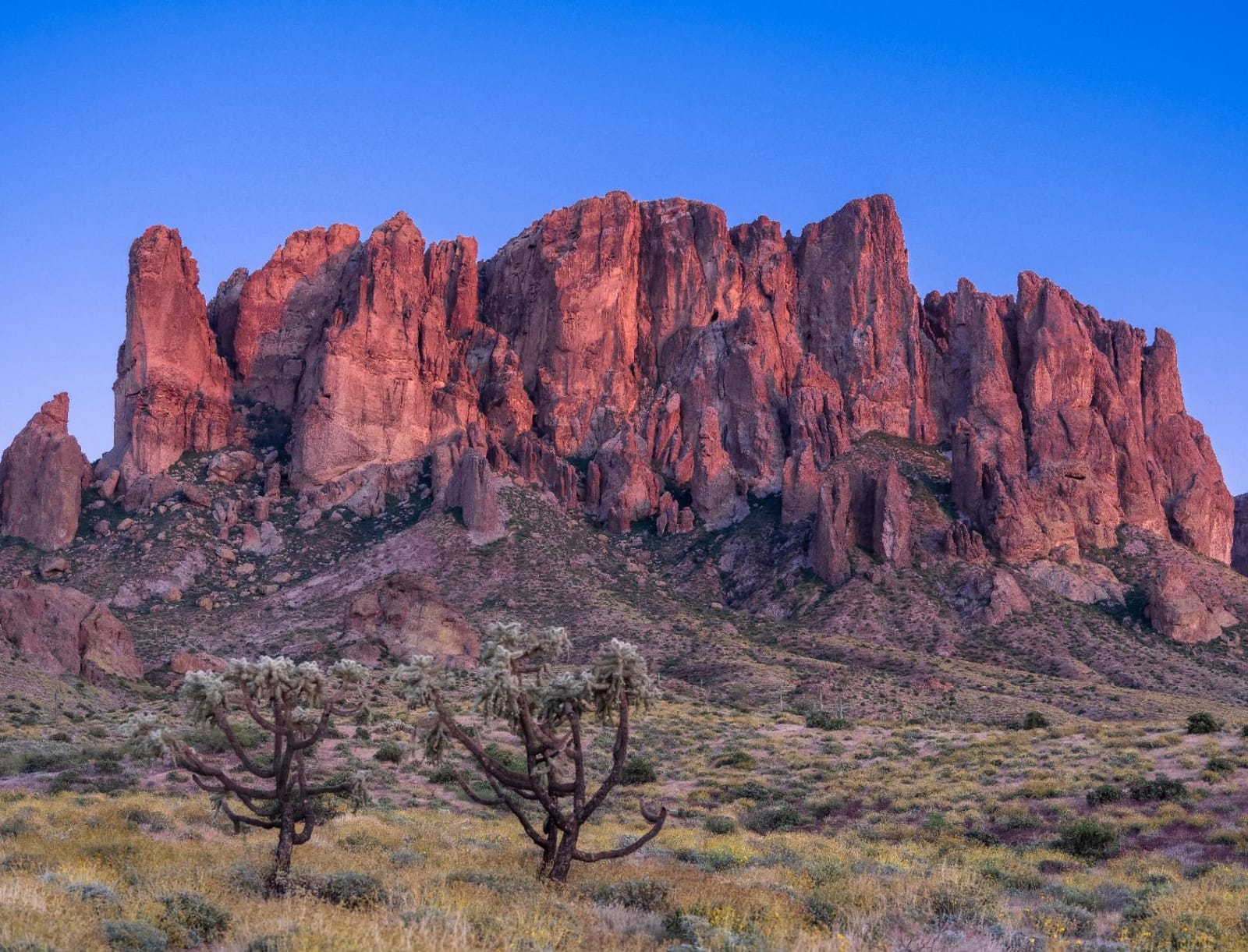 GF45-100mmF4 R LM WR customer photo 1
