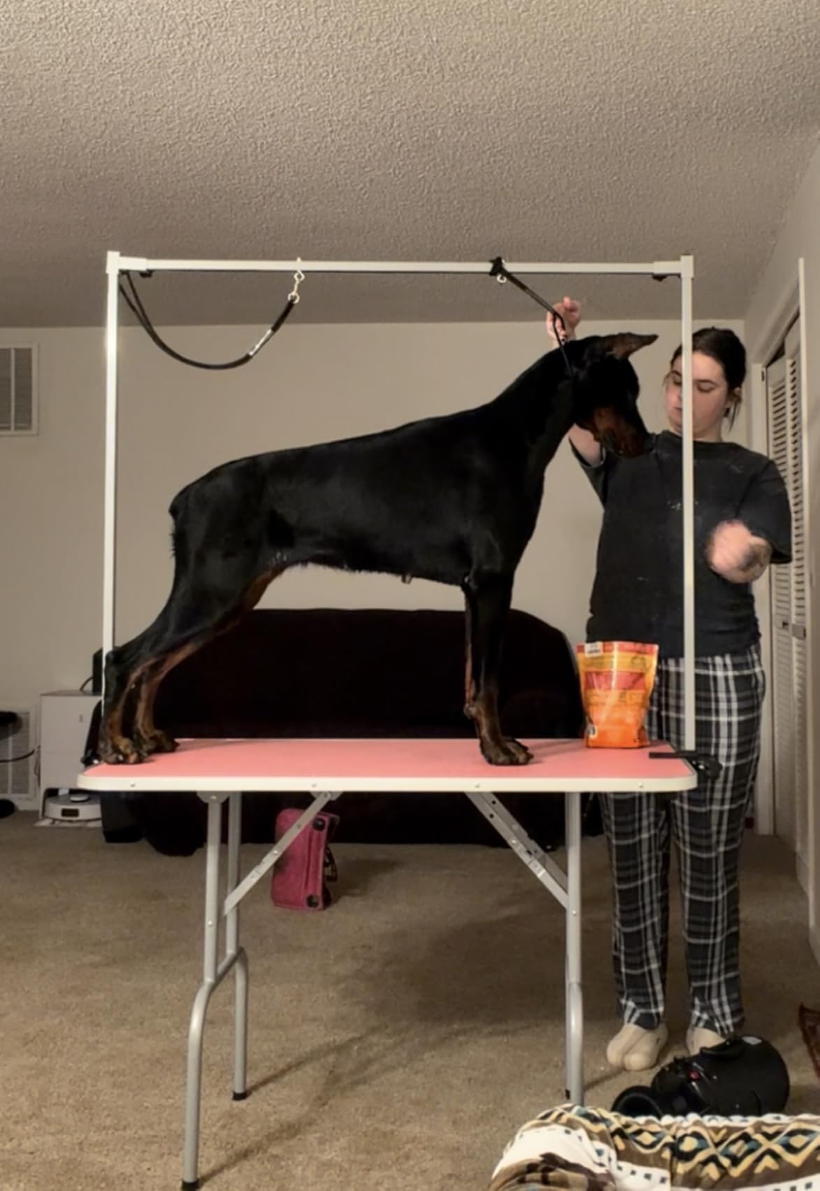 Yaheetech 46'' Pet Grooming Table for Large Dogs Adjustable Height Portable Trimming Table Drying Table w/Arm/Noose/Mesh Tray Maximum Capacity Up to 265Lb, Black customer photo 1