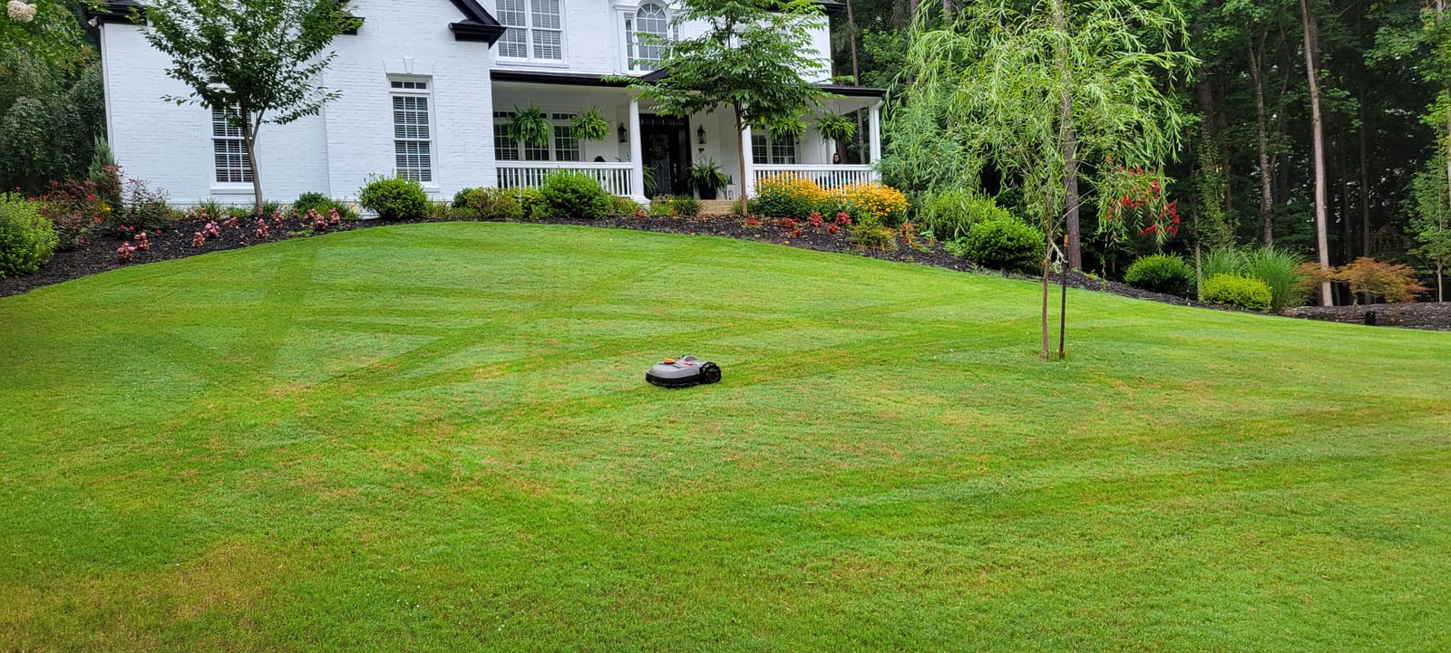 WORX Landroid M 20V Robotic Lawn Mower w/GPS for 1/4 Acre / 10,890 Sq.Ft, Power Share - WR143 (Battery & Charger Included) customer photo 2