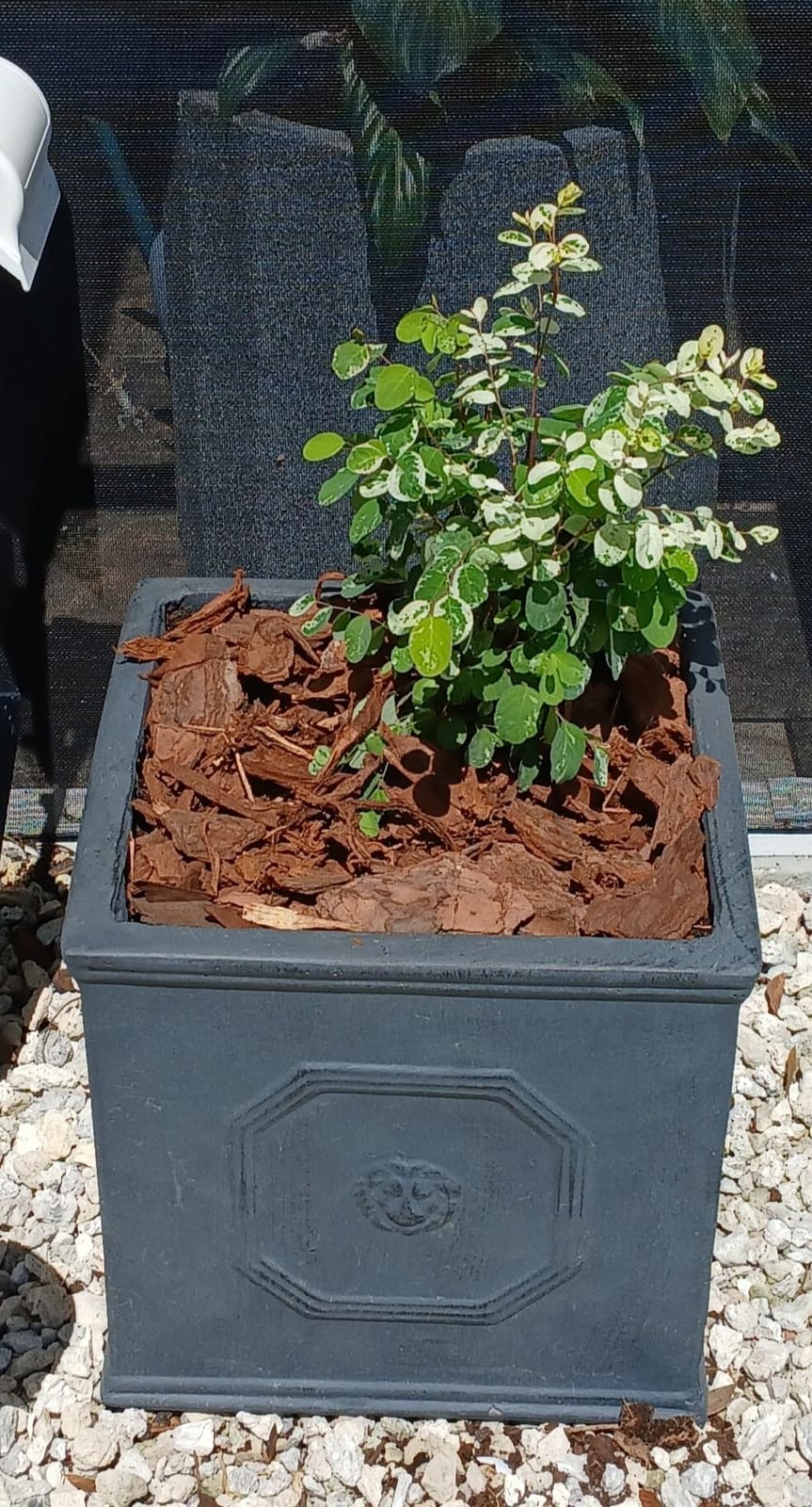 Kante Accent Square Dusty Blue Concrete Planter 12.6
