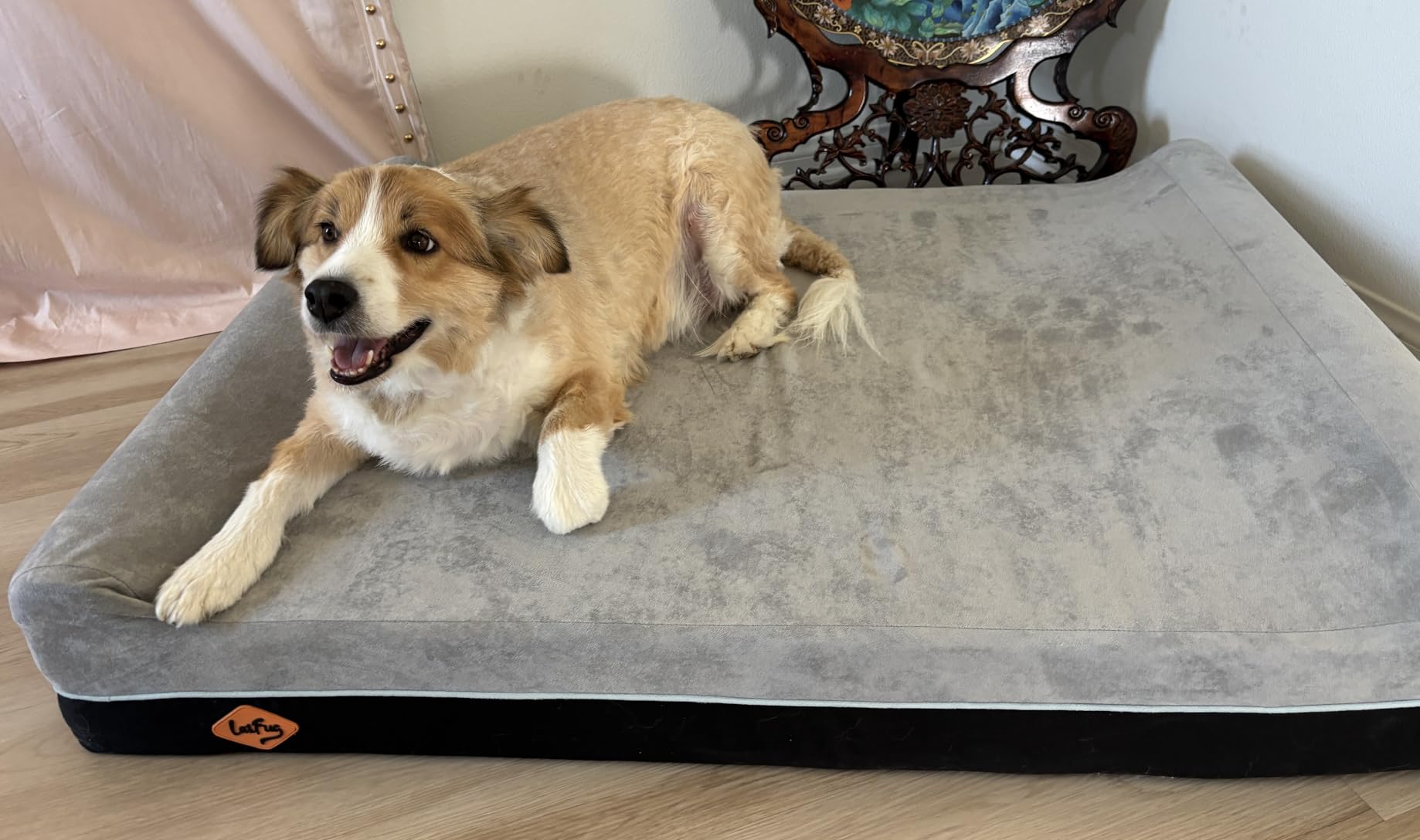Laifug Orthopedic Dog Beds for Large Dogs, 4.5