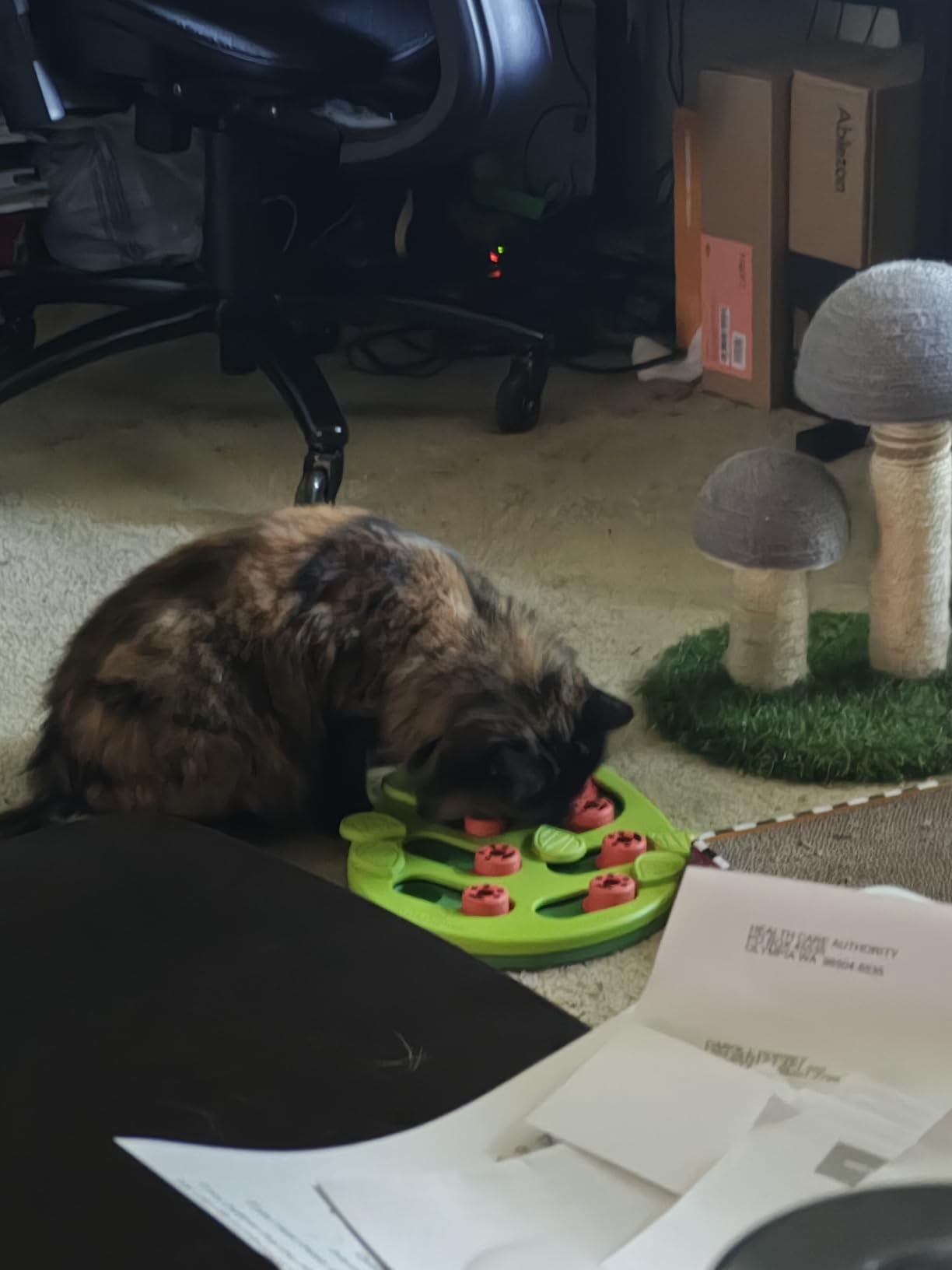 Catstages Nina Ottosson Buggin' Out Puzzle & Play Cat Toy Treat Puzzle, 14