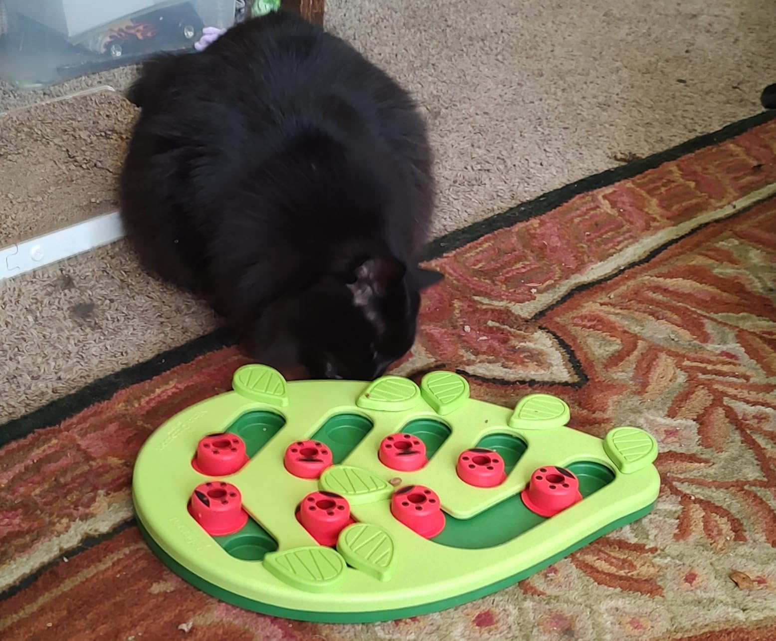 Catstages Nina Ottosson Rainy Day Puzzle & Play Cat Toy Treat Puzzle, 14