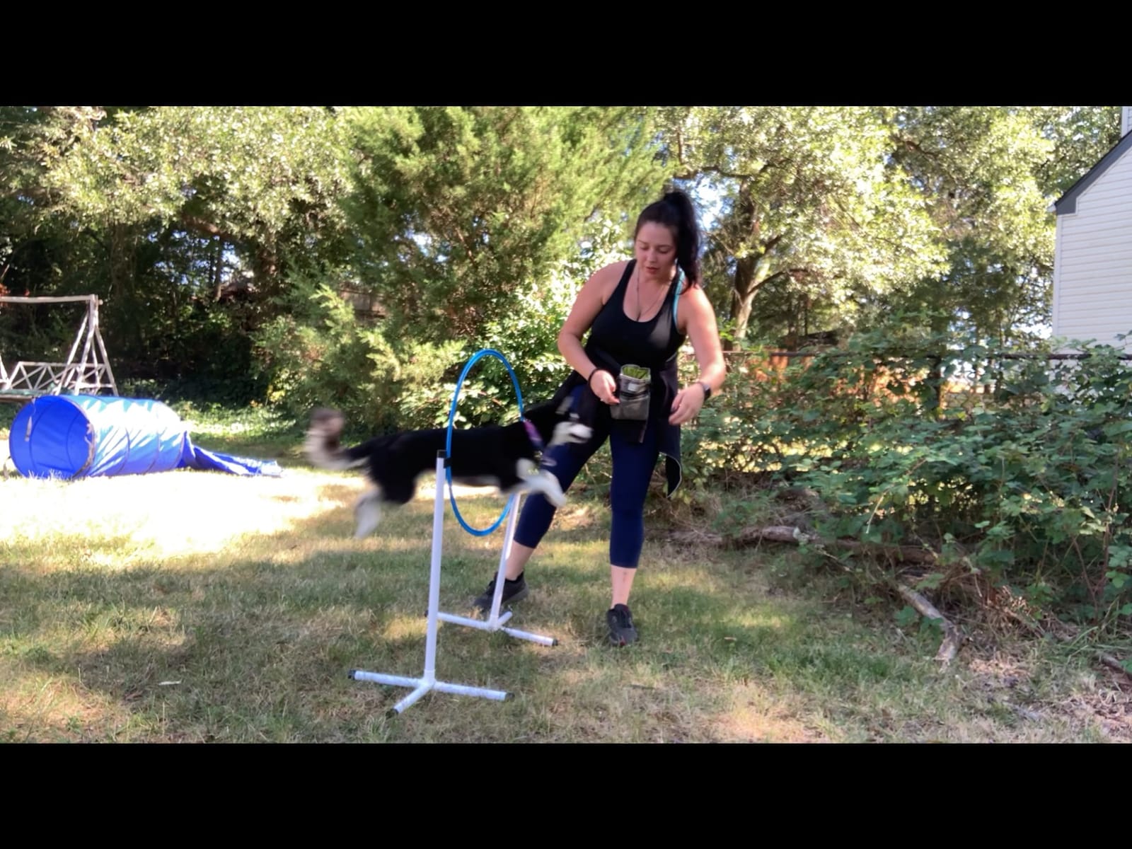 Better Sporting Dogs Agility Course Backyard Set - 7pc | Indoor and Outdoor, 3 Jumps, 2 Tunnels with Sandbags, Weave Poles, Dog Agility Training Equipment customer photo 1