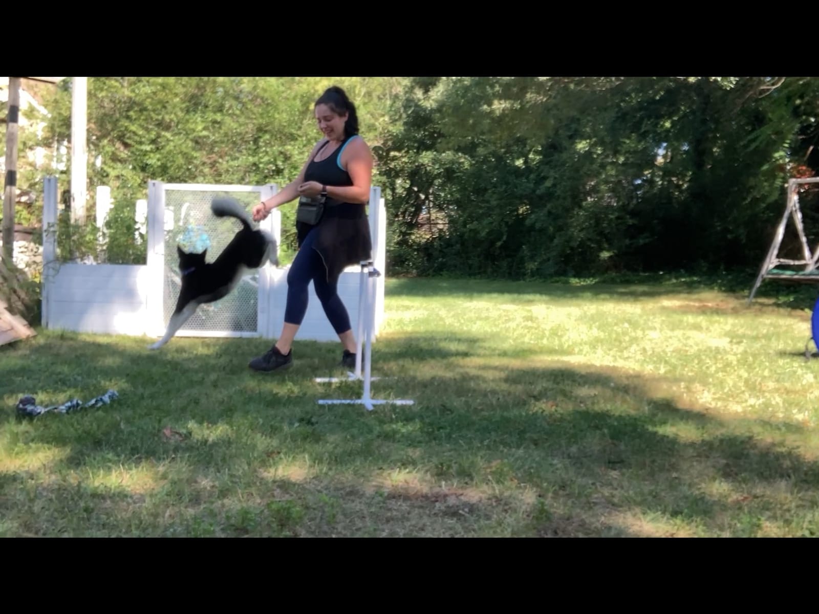 Better Sporting Dogs Agility Course Backyard Set - 7pc | Indoor and Outdoor, 3 Jumps, 2 Tunnels with Sandbags, Weave Poles, Dog Agility Training Equipment customer photo 2