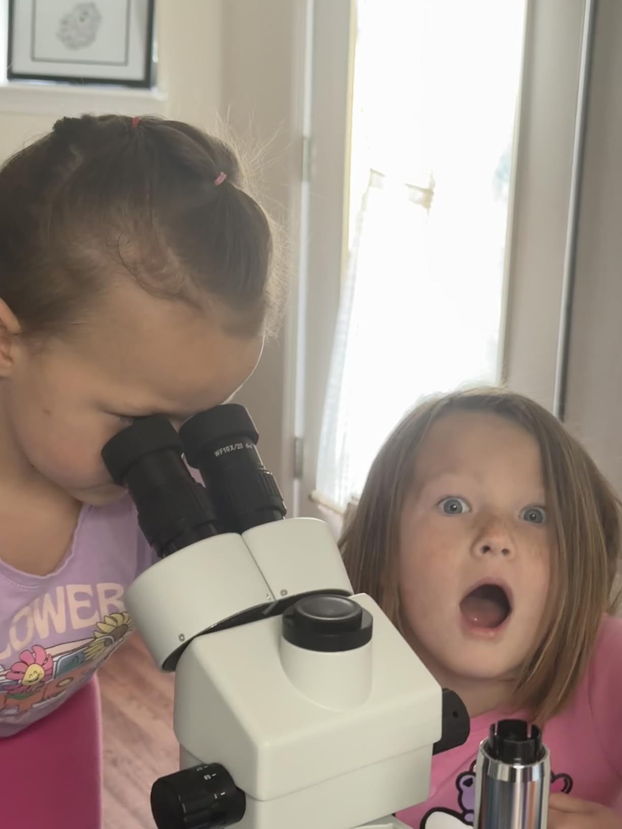 SWIFT Trinocular Stereo Zoom Microscope with 56-Bulb LED Ring Light, 3.5X-90X Magnification, WF10X Eyepieces, 0.7X-4.5X Zoom Objective, 0.5X 2.0X Additional Objectives, Table Pillar Stand customer photo 1