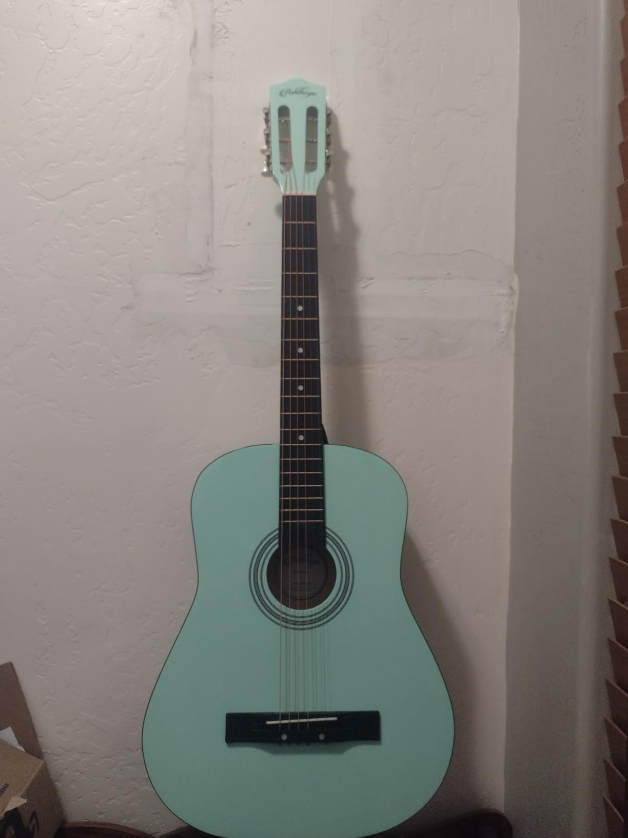 Ashthorpe 38-inch Beginner Acoustic Guitar (Black), Starter Kit with Gig Bag, Extra Strings, Strap, Picks, and Lessons customer photo 1