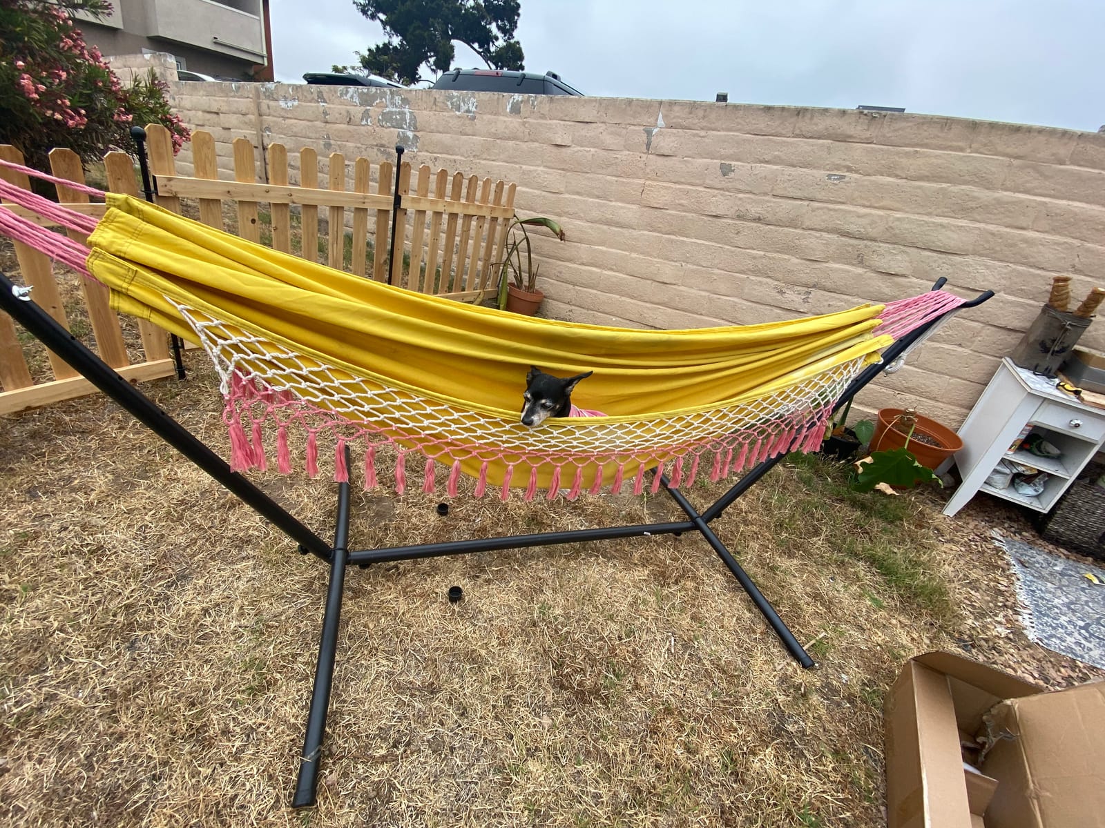 SUPER DEAL Portable 9FT Hammock Stand, Heavy Duty 2 Person 620 LBS Capacity Steel Hammock Frame with Portable Carrying Case, Adjustable 6 Optional Hook Positions, Weather Resistant Black customer photo 1