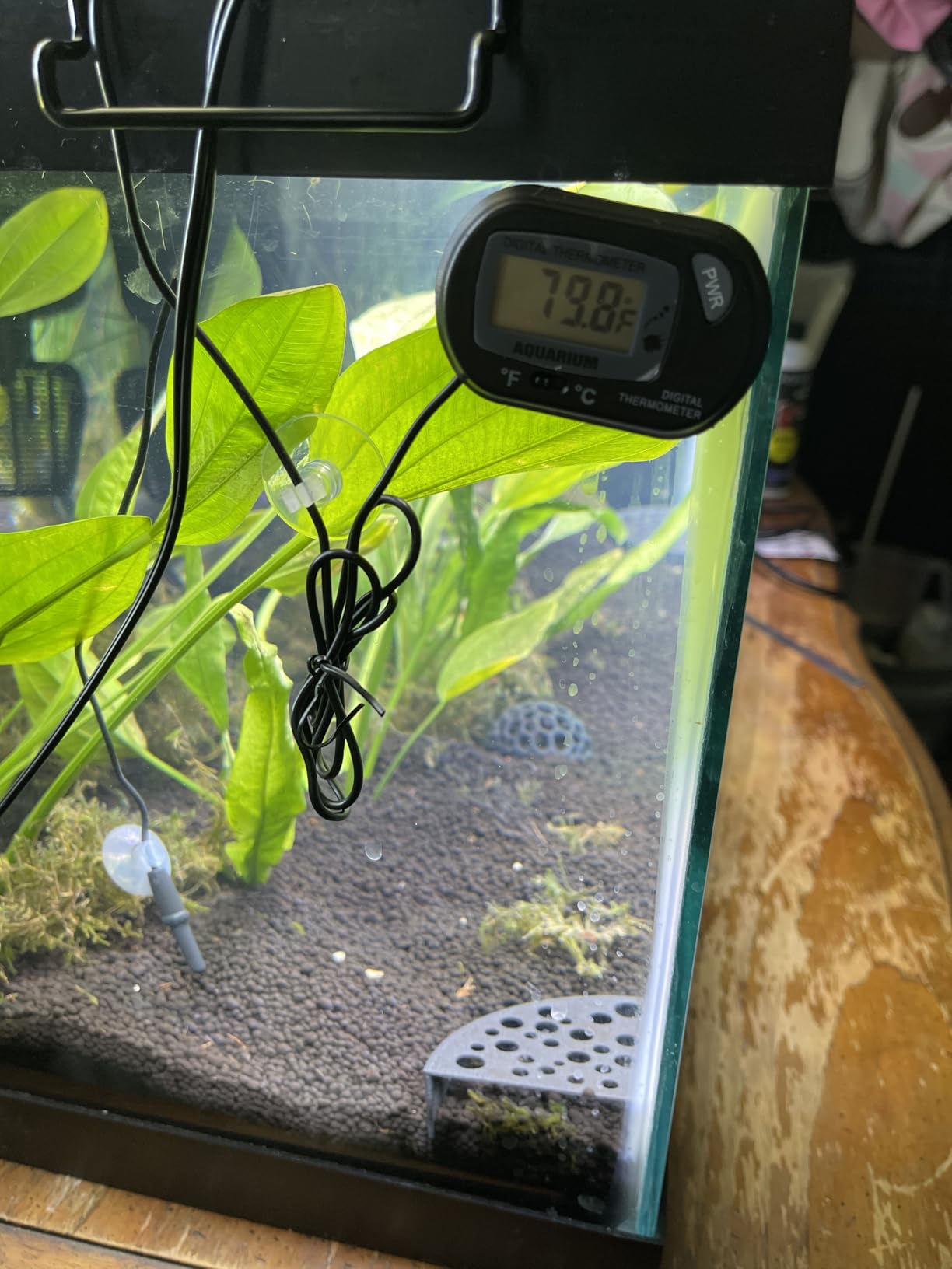 Orlushy Submersible Aquarium Heater, 500W Fish Tank Heater with Adjust Knob Thermostat 2 Suction Cups and Free Thermometer Suitable for Marine Saltwater and Freshwater (500W) customer photo 2