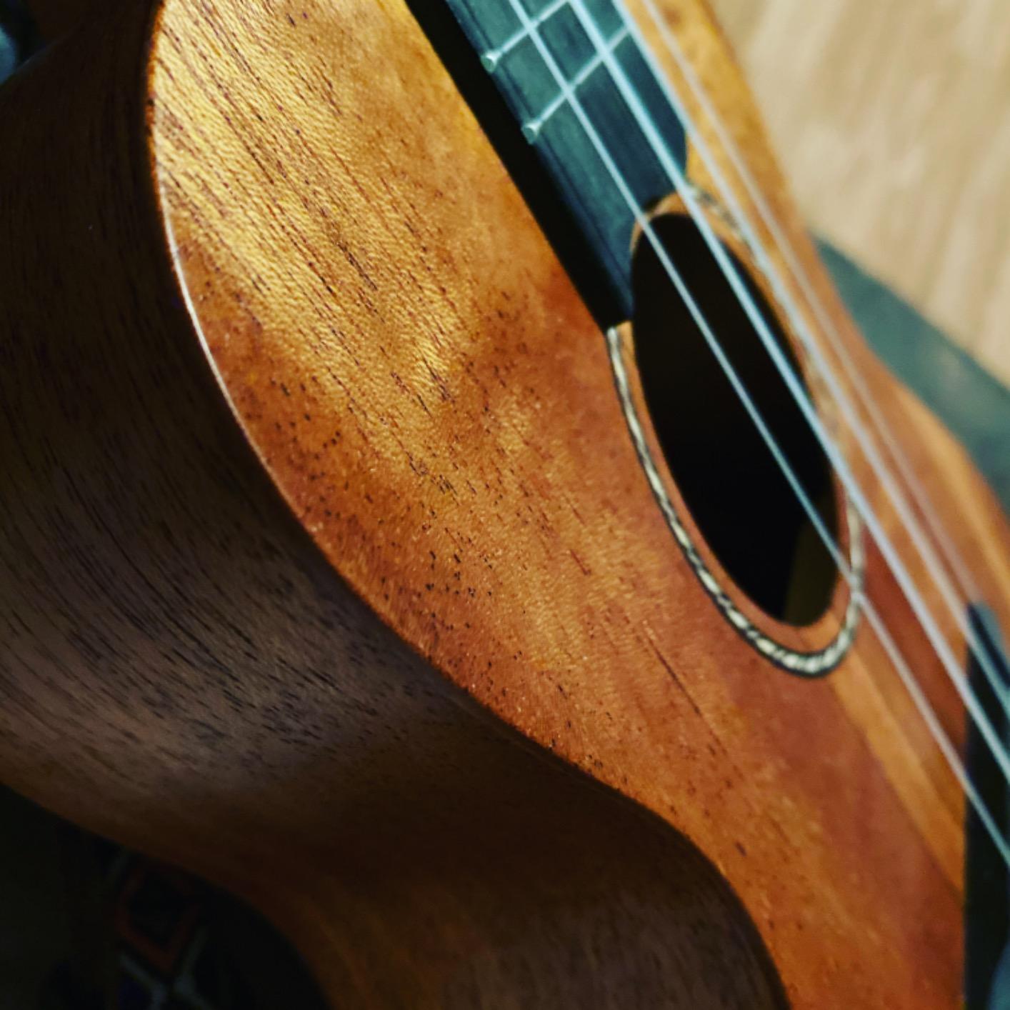Donner Concert Ukulele Beginner Kit 23 inch Ukelele Mahogany Wood with Free Online Lesson Gig Bag Strap Nylon String Tuner Picks Ukalalee Yukalalee Bundle Pack DUC-200 customer photo 1