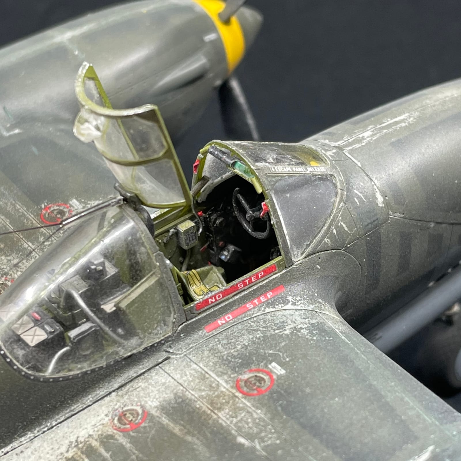 TAMIYA America, Inc 1/48 Lockheed P-38H Lightning Limited Edition, TAM25199 customer photo 2