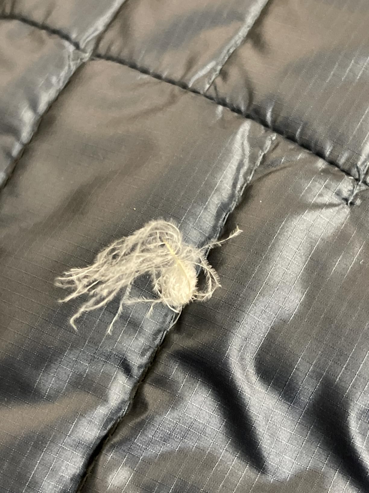 Rab Men's Microlight Alpine Down Jacket customer photo 1