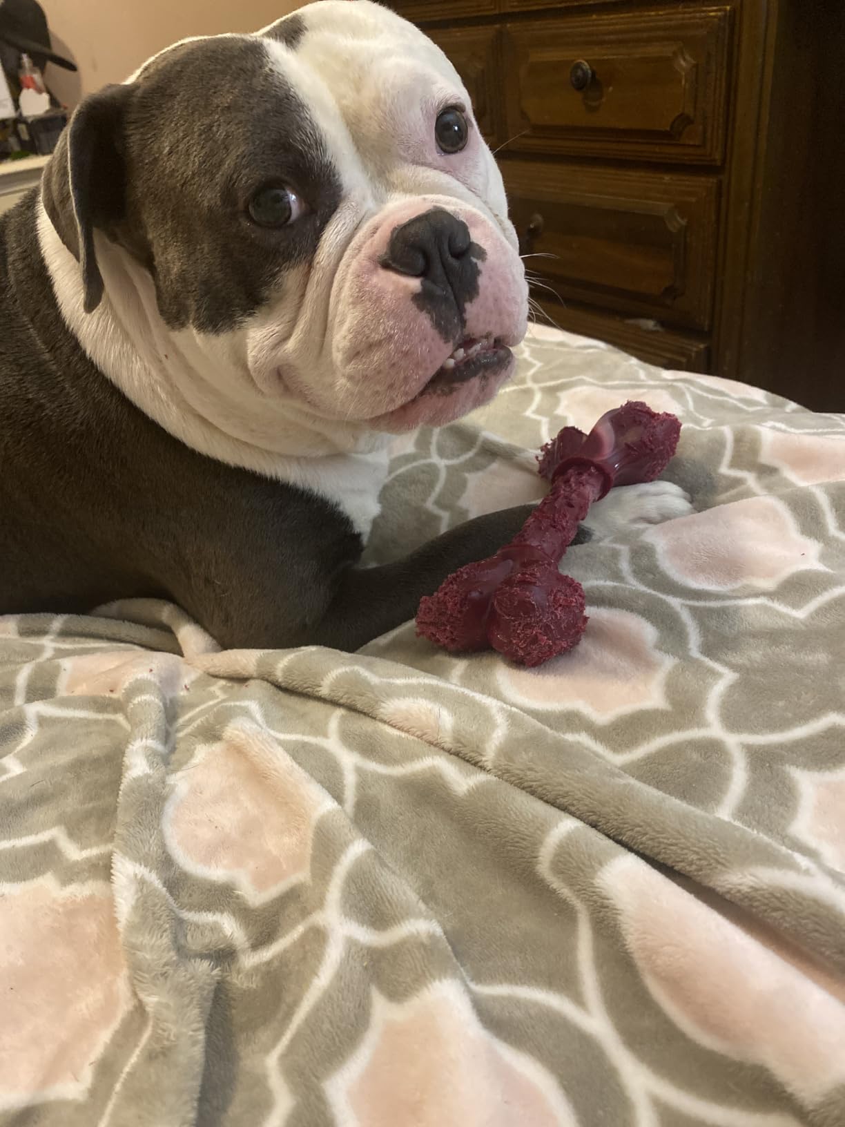 Tough Dog Toys for Aggressive Chewers: Beef Flavored Long Lasting Dog Bones for Large Dogs customer photo 1