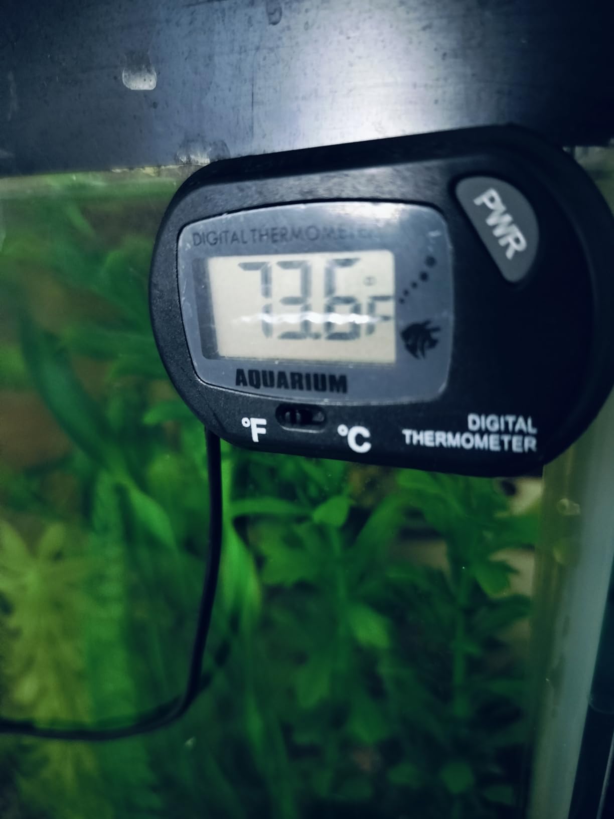 100W/300W/500W Aquarium Heater Submersible 10-90 Gallon 300 Watt Fish Tank Heater with Durable Quartz Glass Protective Sleeve Auto Thermostat for Fresh Water and Salt Water customer photo 2