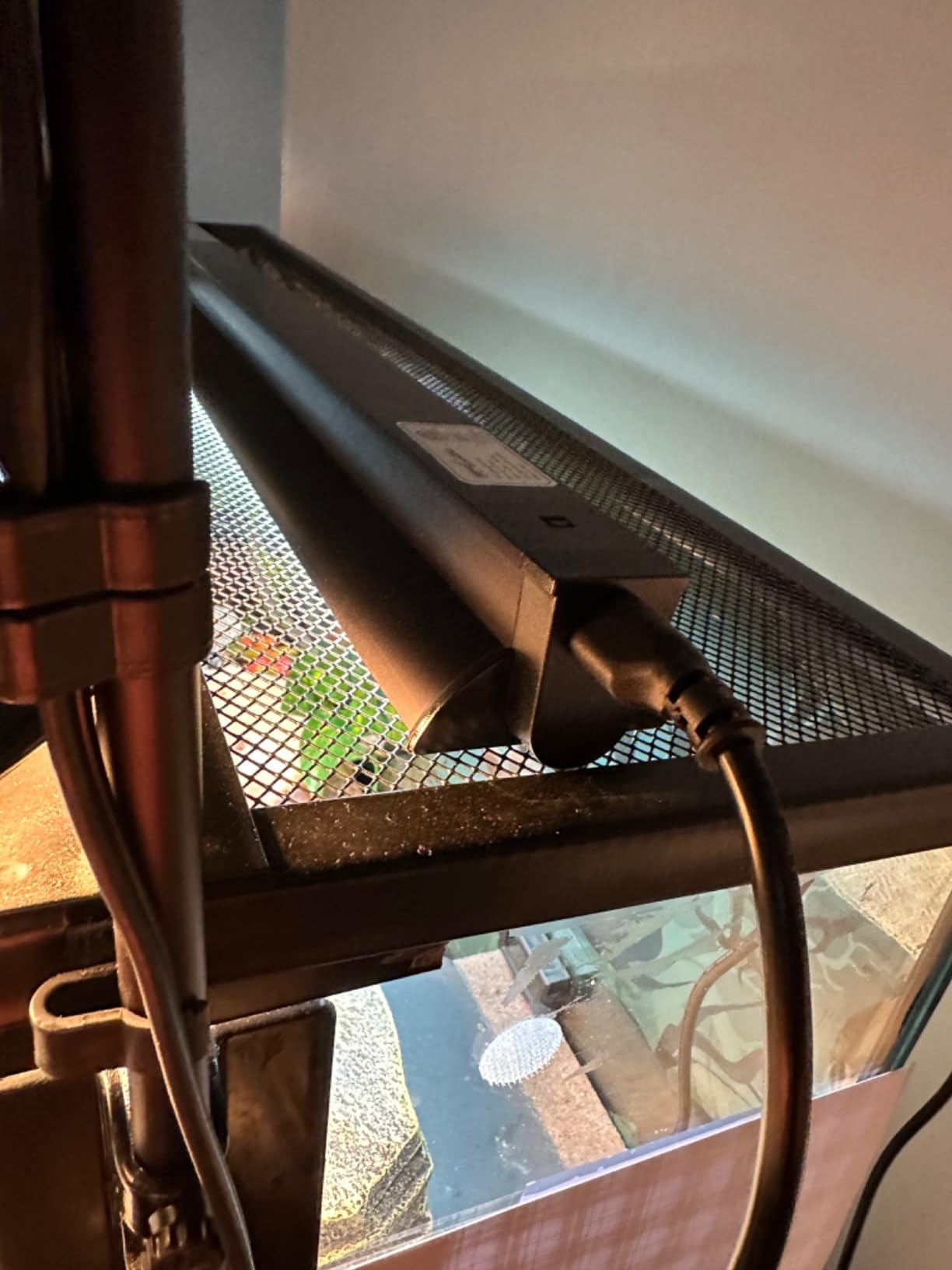 REPTI ZOO T5 HO UVB Lighting Combo Kit, Terrarium Hood Comes with Desert 10.0 UVB T5 Lamp (24W) customer photo 1