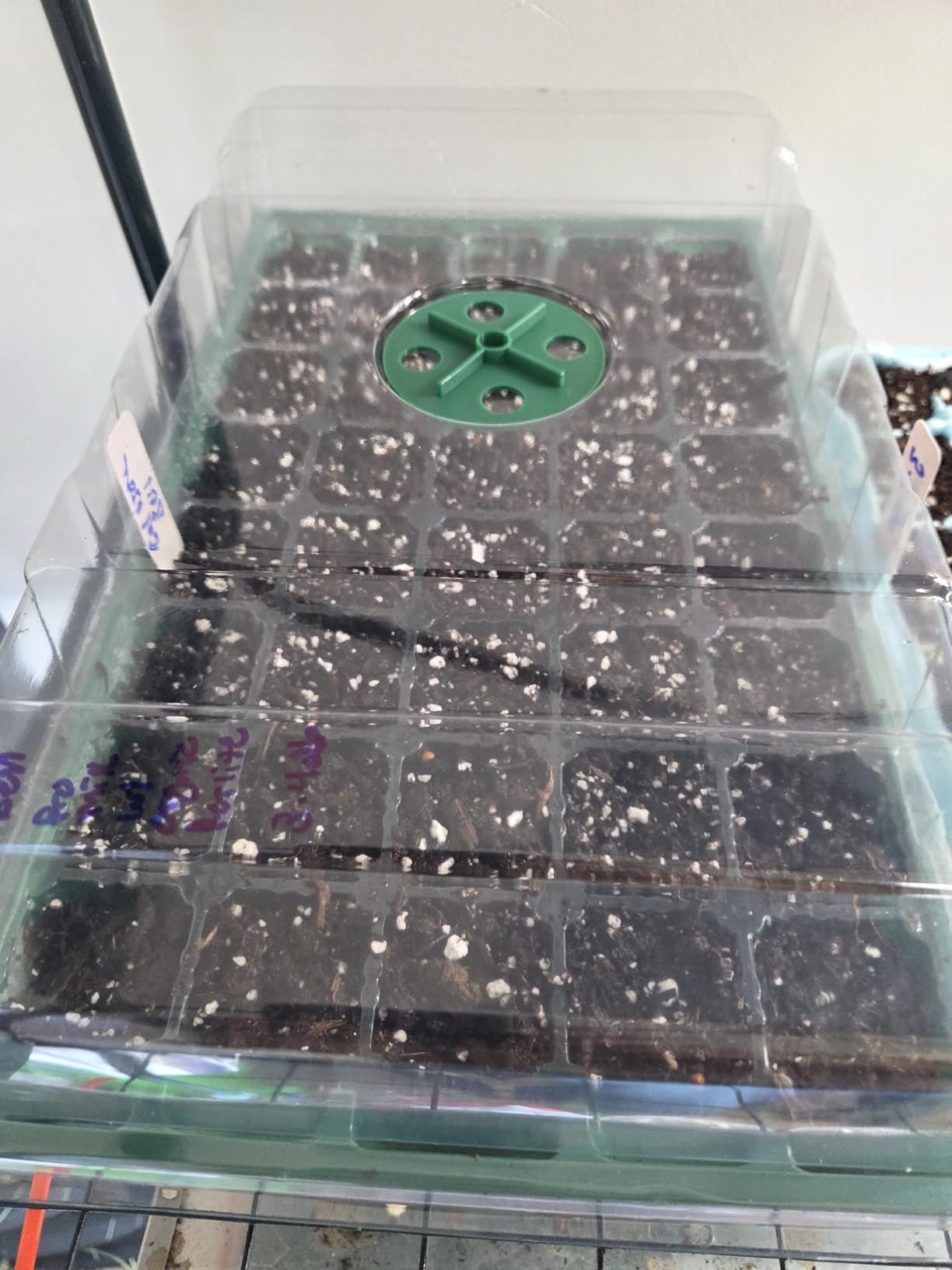 MIXC 5 Pack Seed Starter Tray, 200Cell Mini Propagator Greenhouse Grow Kit | Reusable Plant Germination Tray with Drainage Hole/Humidity Vent Dome, Green Seedling Tray for Indoor Outdoor Planting Seed customer photo 2