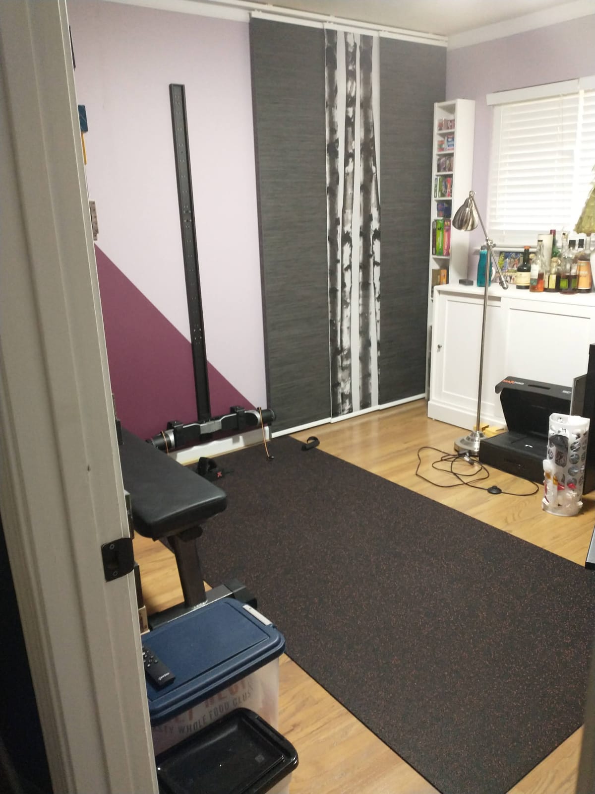 MAXPRO: Portable Smart Cable Gym customer photo 2