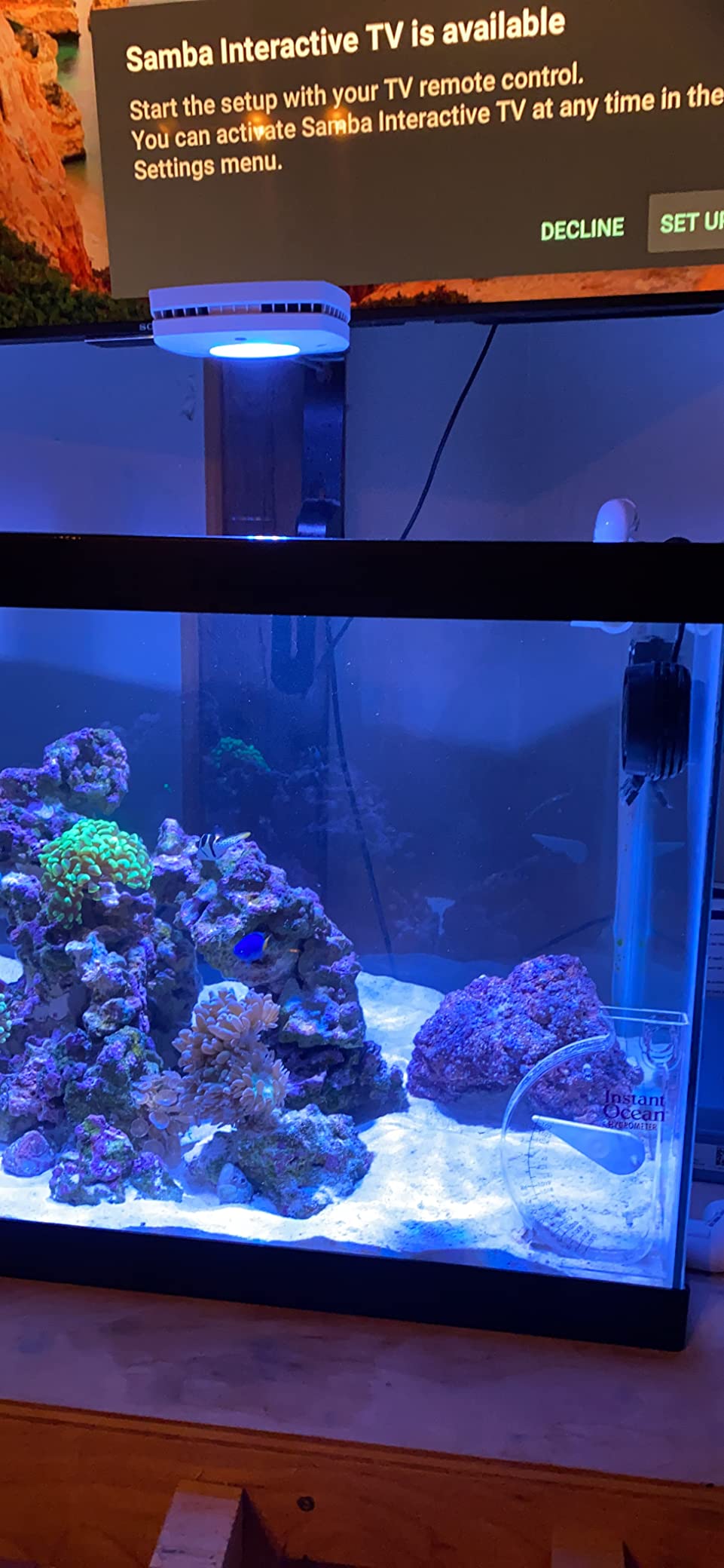 AquaIllumination AI Nero 3 Submersible Wavemaker Pump with Fish Guard, 2,000 GPH Powerful Water Flow for Saltwater & Reef Aquariums, Compact Quiet Pump with Magnetic Mount customer photo 1