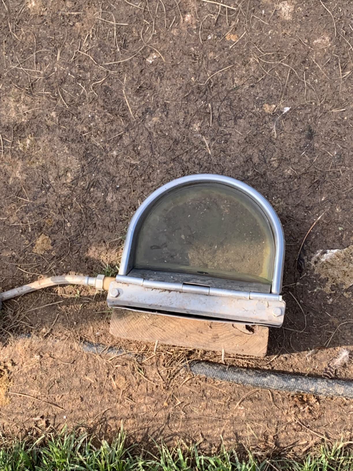 Automatic Livestock Waterer,304 Stainless Steel, for Cattle Dogs Horses customer photo 1