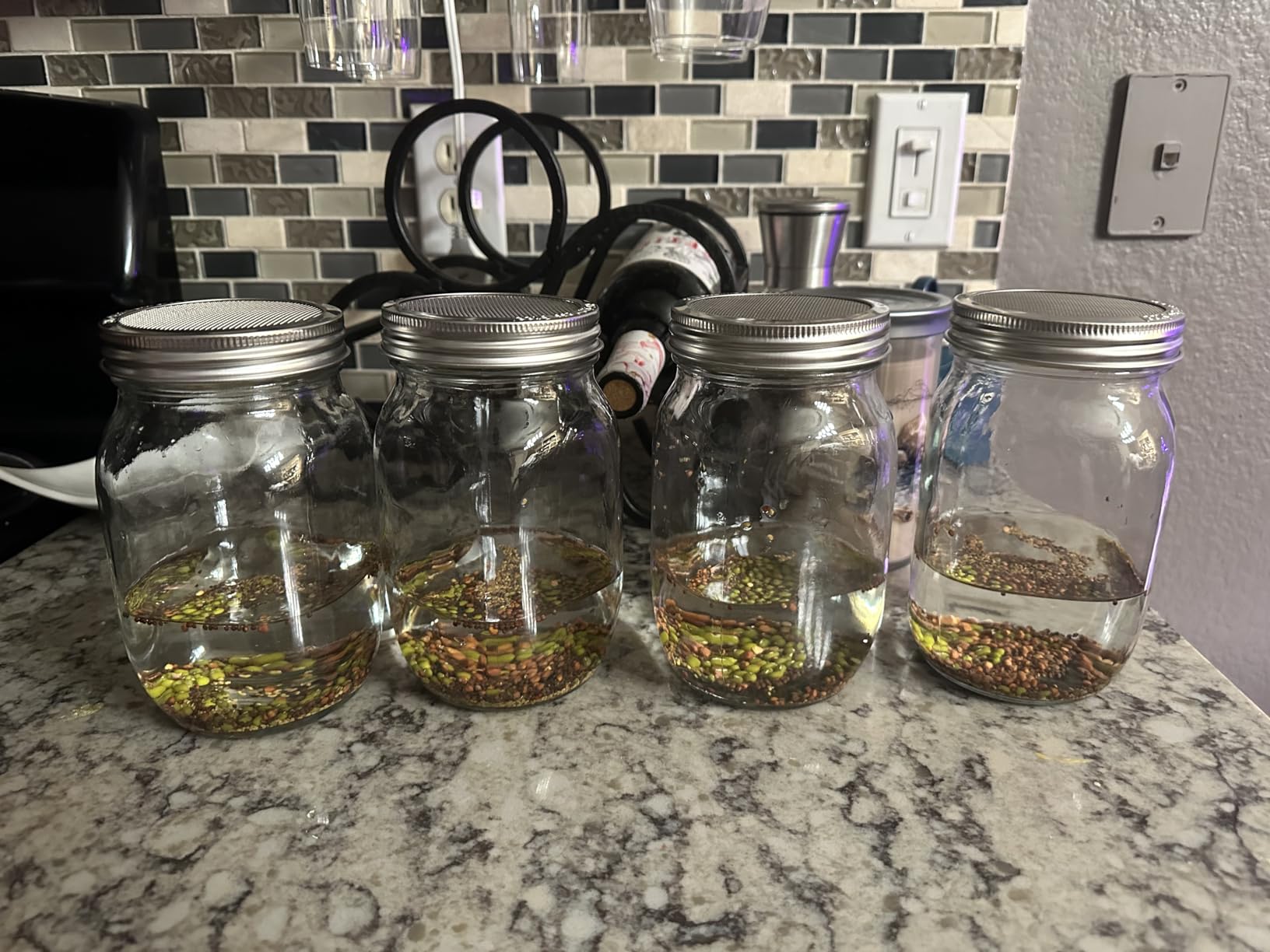 Sprouting Jar Kit-2 Wide Mouth Quart Mason Jars with 316 Stainless Steel Screen Sprout Lids, Drip Tray, Stand | Seed Sprouter Set for Growing Broccoli, Alfalfa, Mung Bean customer photo 1