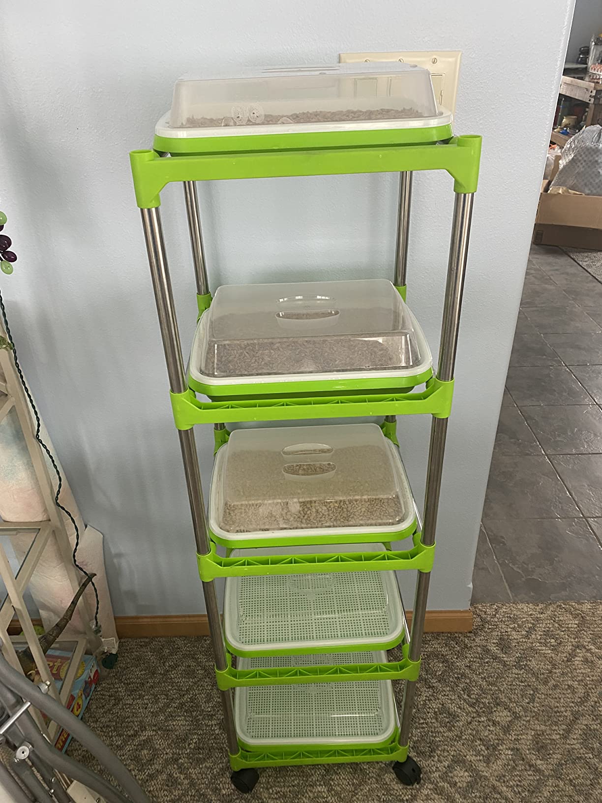 5 Layers Seed Sprouter Trays with Lids and Stainless Steel Shelf | Soil-Free Cultivation, BPA Free PP, Seed Starter Tray for Mung Beans, Microgreens, Wheatgrass, Grow Grass for Indoor, Outdoor customer photo 2