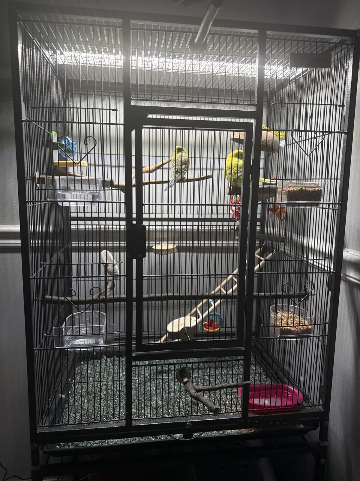 VIVOHOME 54 Inch Wrought Iron Large Bird Cage with Rolling Stand | Bird Flight Cage with Stand, Casters, Slide-out Tray for Parakeets Canaries Parrot Cockatiels Lovebirds Conures, Black customer photo 1
