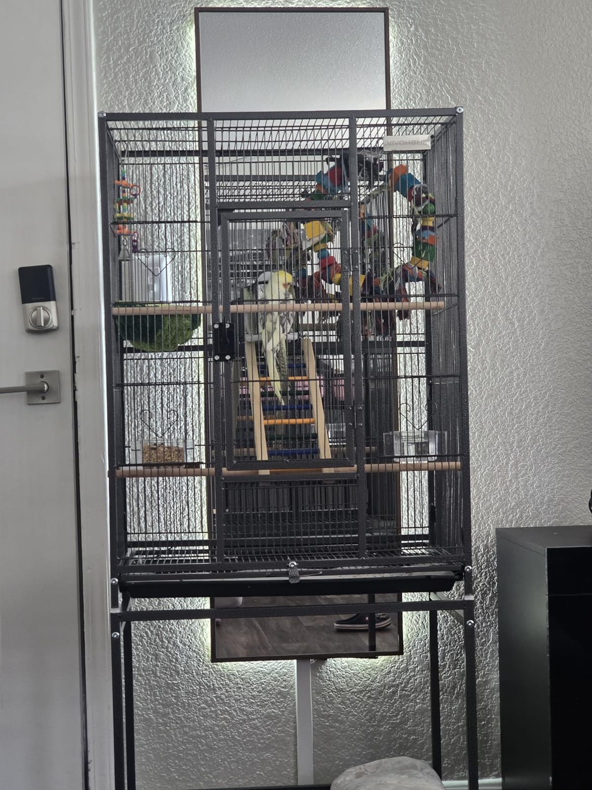 VIVOHOME 54 Inch Wrought Iron Large Bird Cage with Rolling Stand | Bird Flight Cage with Stand, Casters, Slide-out Tray for Parakeets Canaries Parrot Cockatiels Lovebirds Conures, Black customer photo 2