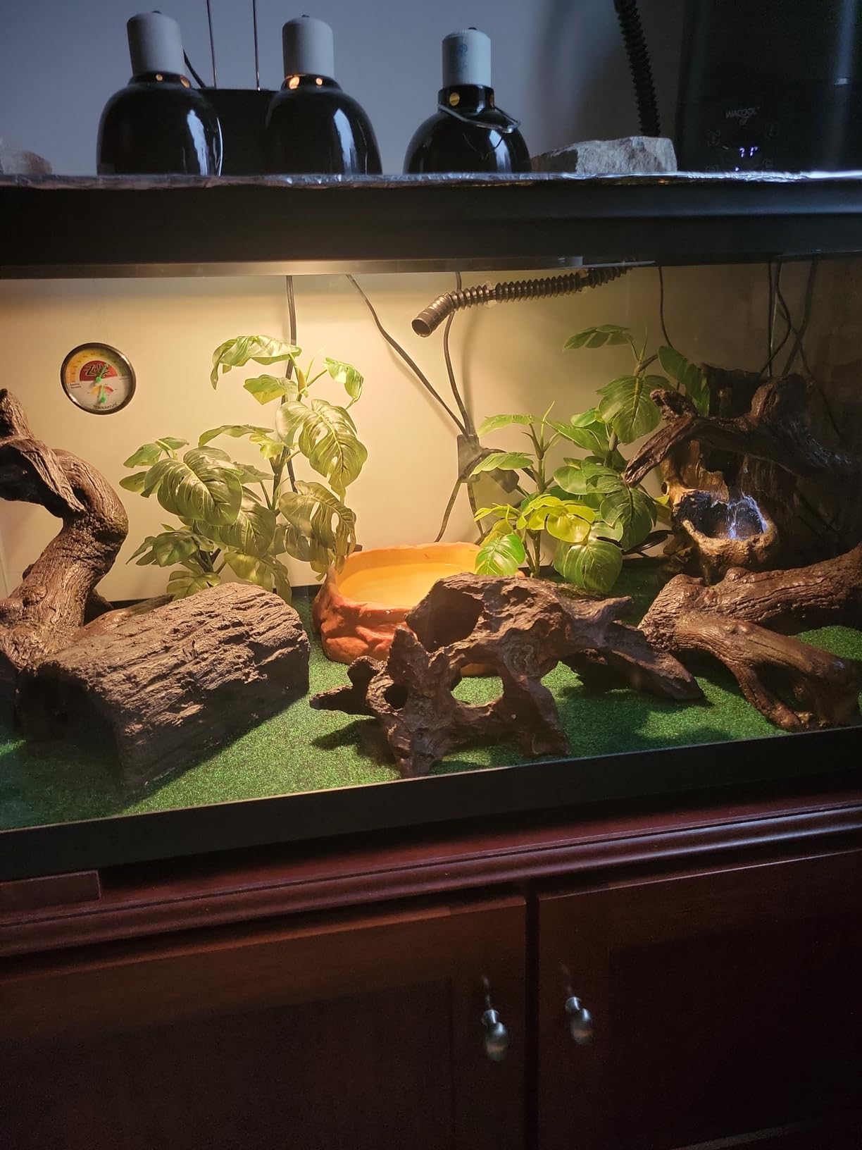 WACOOL Reptile Fogger with Humidity Controller, 4L Large Tank Reptile Humidifier with Humidistat & Extended Hose, Automatic Terrarium Fogger for Bearded Dragon Lizard Gecko Snake Tortoise customer photo 2