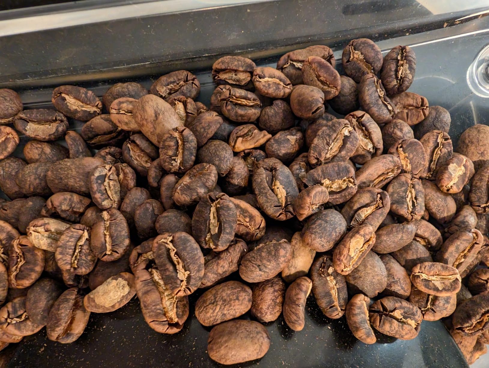 Fresh Roasted Coffee, Adventurer Unroasted Green Coffee Beans Home Roasting Starter Kit, Variety 4-Pack, Kosher, 4 lb (Four 1 lb Bags) customer photo 2